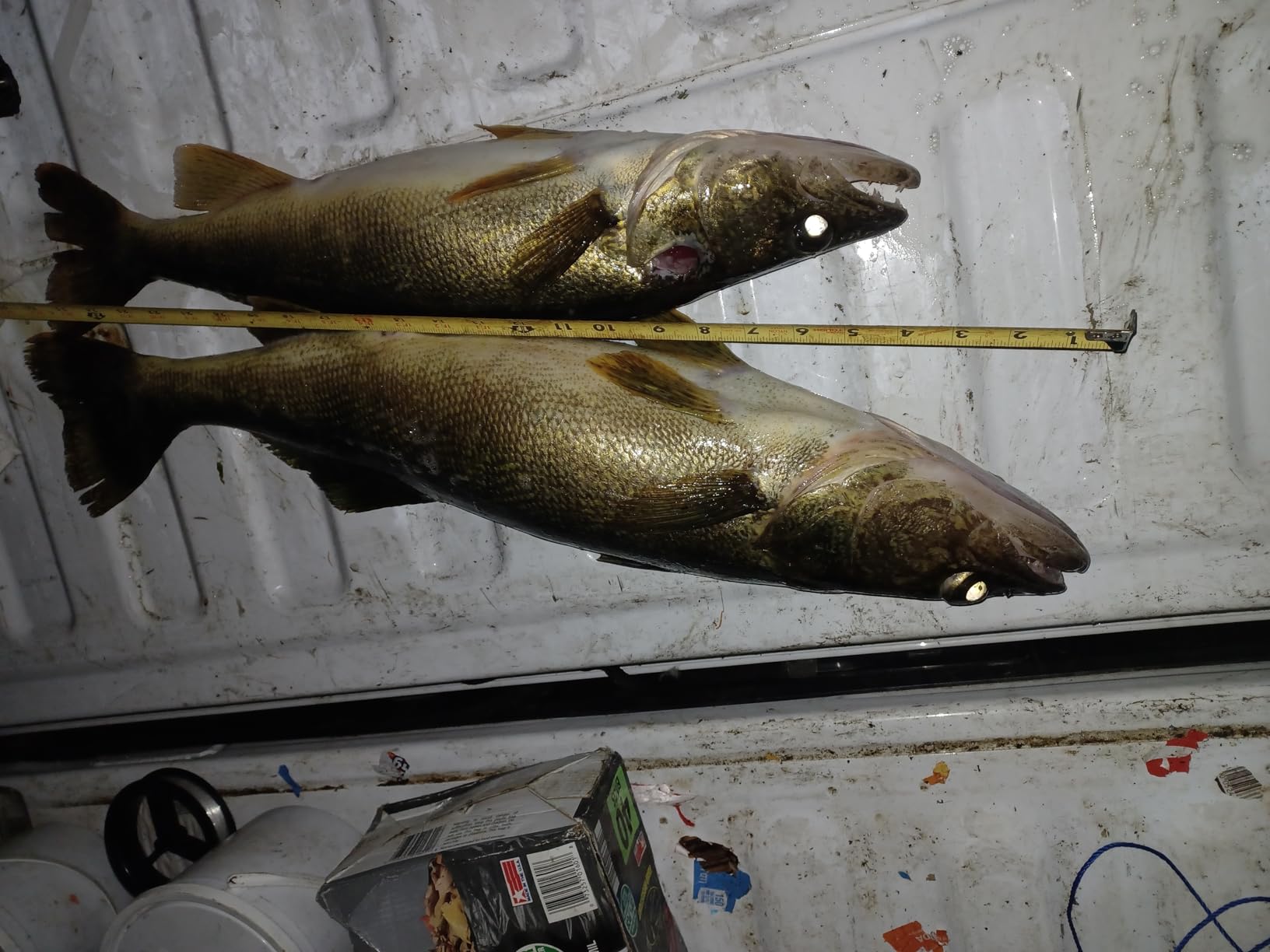 QualyQualy Floating Fish Basket 41/73 Gallons Extra Large for Live Caught, Fully Foldable Fishing Net Holder for Bait Live Well Collapsible Mesh Fishing Holder Cage customer photo 1