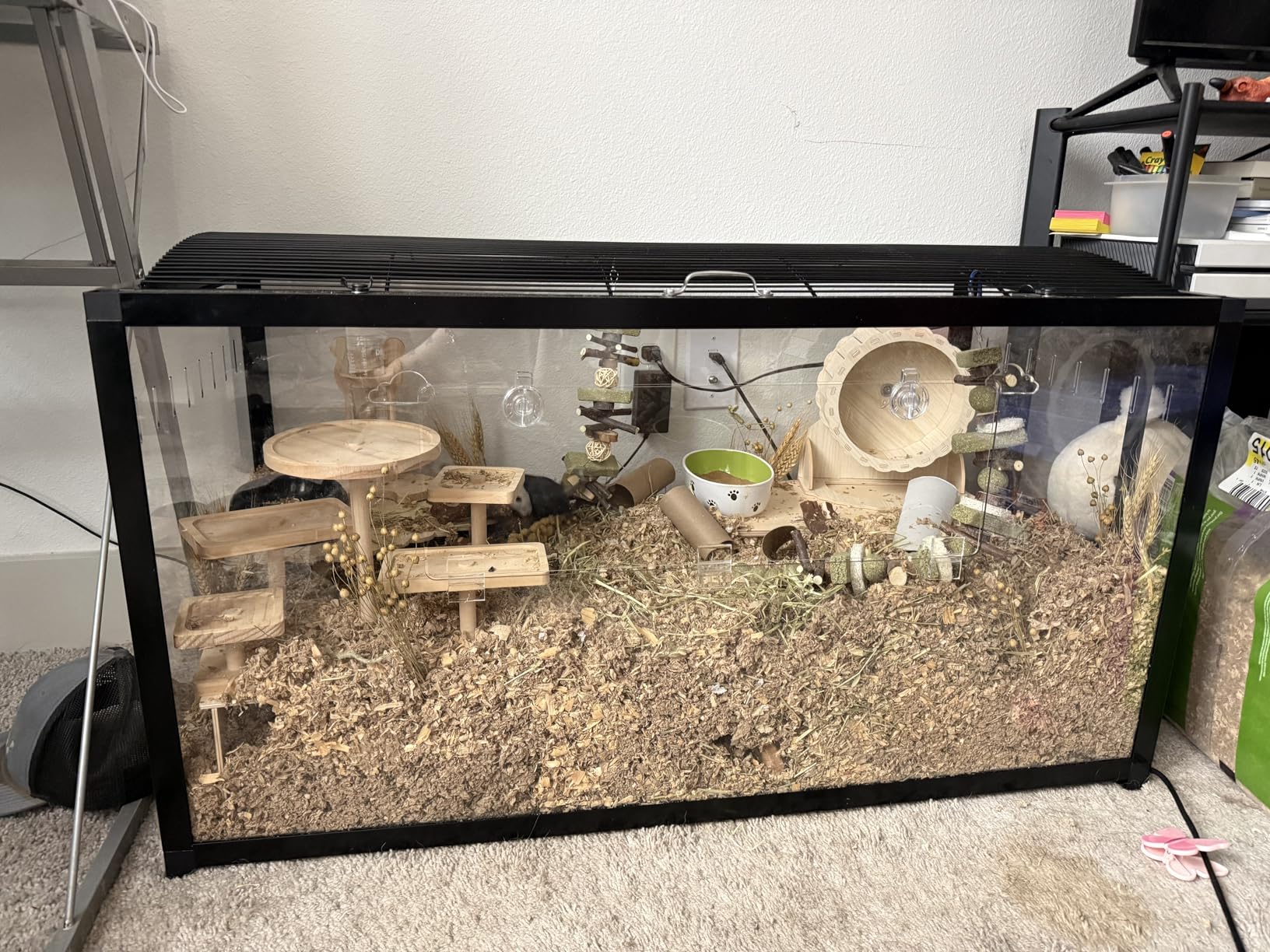 VEVOR Hamster Cage, 360° Viewing Transparent Hamster Habitats, Small Animal Cage, 22.8 x 15 x 21.3 in, Ventilated Pet Mouse Cages with Water Bottle customer photo 1