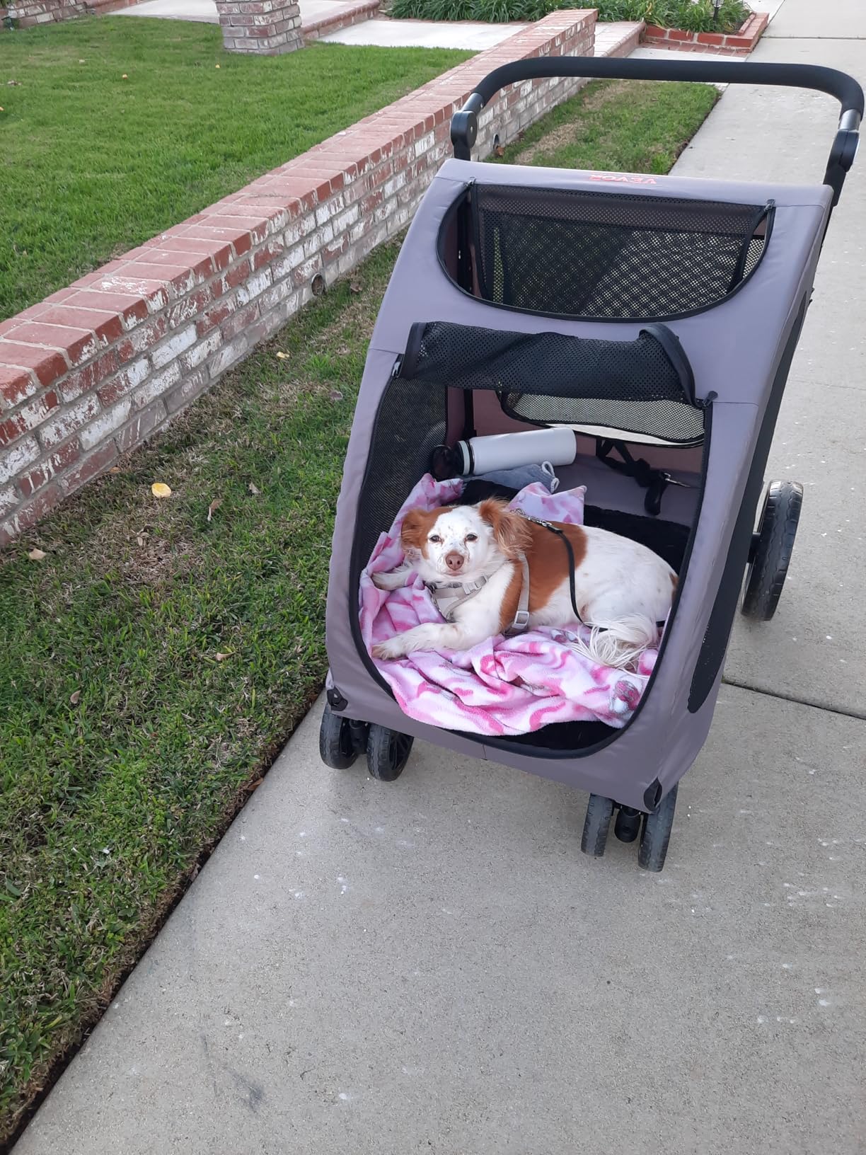 VEVOR Pet Stroller, 4 Wheels Dog Carrier with Brakes, 160lbs Weight Capacity, Portable Puppy Travel Strollers with Breathable Mesh Windows & Height-Adjustable, for Cats & Dogs customer photo 1