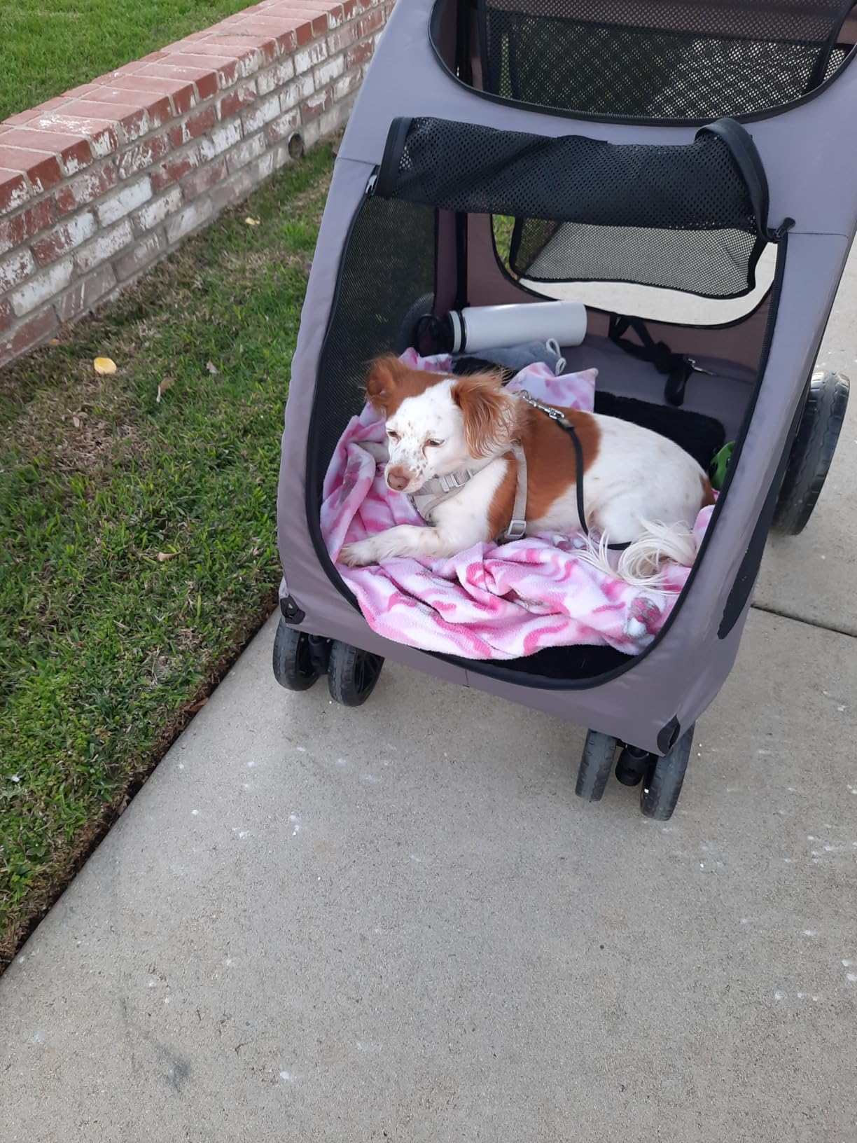 VEVOR Pet Stroller, 4 Wheels Dog Carrier with Brakes, 160lbs Weight Capacity, Portable Puppy Travel Strollers with Breathable Mesh Windows & Height-Adjustable, for Cats & Dogs customer photo 2