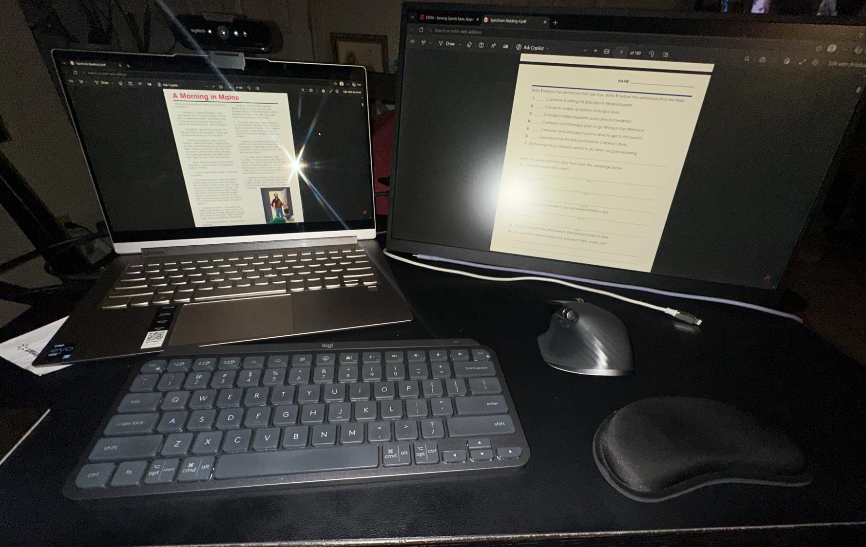 Portable Monitor 18.5