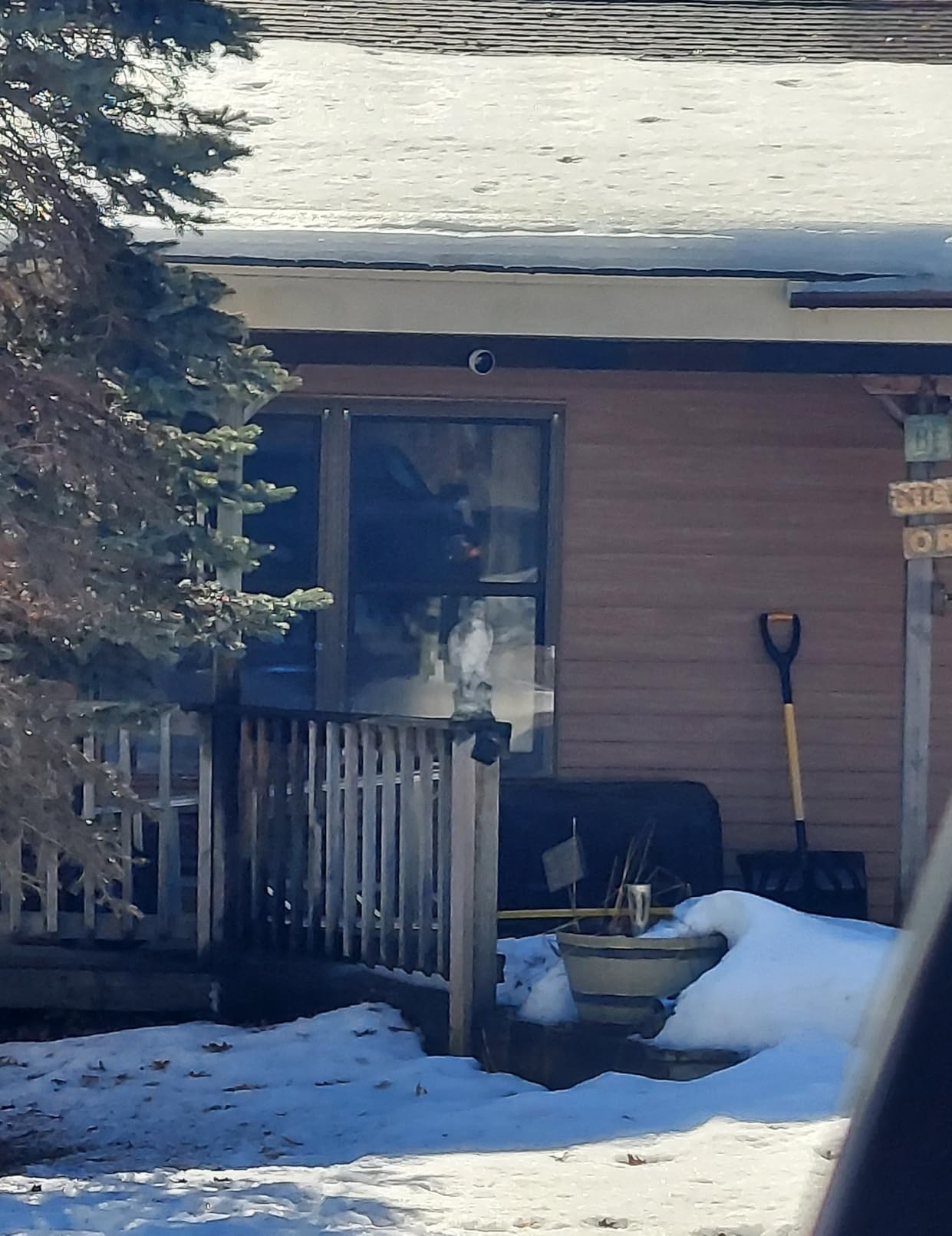 Dzees Magnetic Security Cameras Wireless Outdoor,2K AI Cameras for Home Security, Battery Powered, 1Min Install, 2-Way Audio,IR Color Night Vision, Cloud & SD Card Storage, Outside Indoor Surveillance customer photo 1