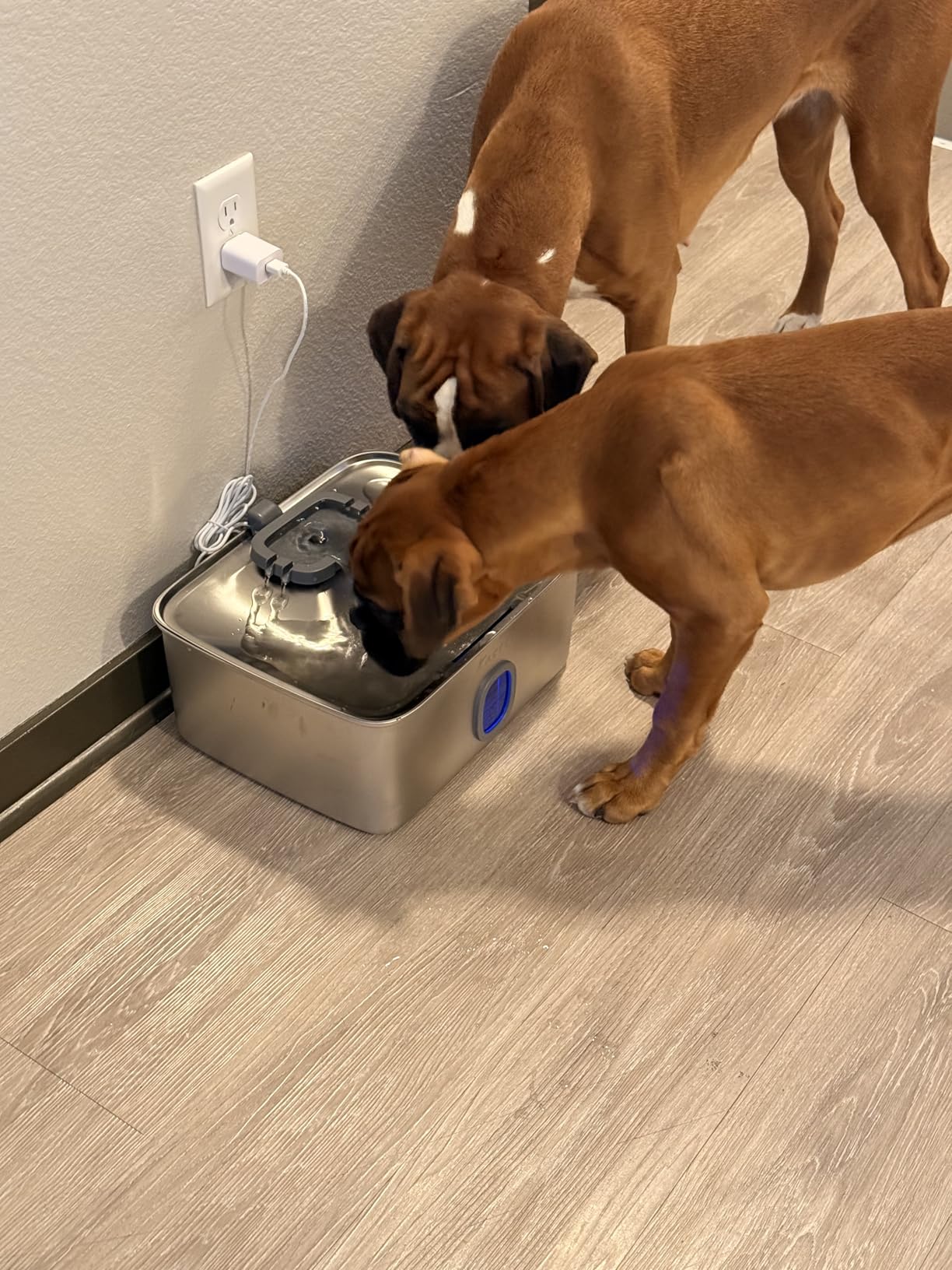 Kastty 4 Gal Dog Water Fountain for Large Dogs,15L Stainless Steel Dog Water Bowl Dispenser Triple Filtration,Ultra Quiet Automatic Pet Water Fountain with Water Level Window and LED Light(FS76) customer photo 1
