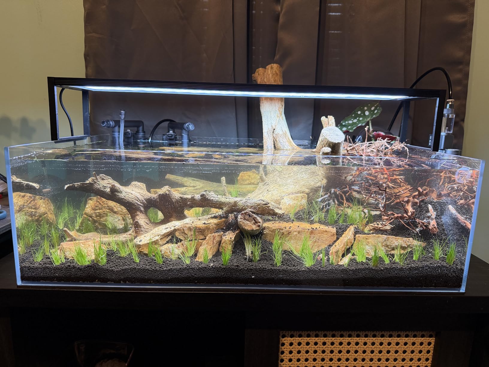 FZONE Desktop Aquarium CO2 System, CO2 Regulator with 45g Disposable CO2 Cartridge, Compatible with 5/8