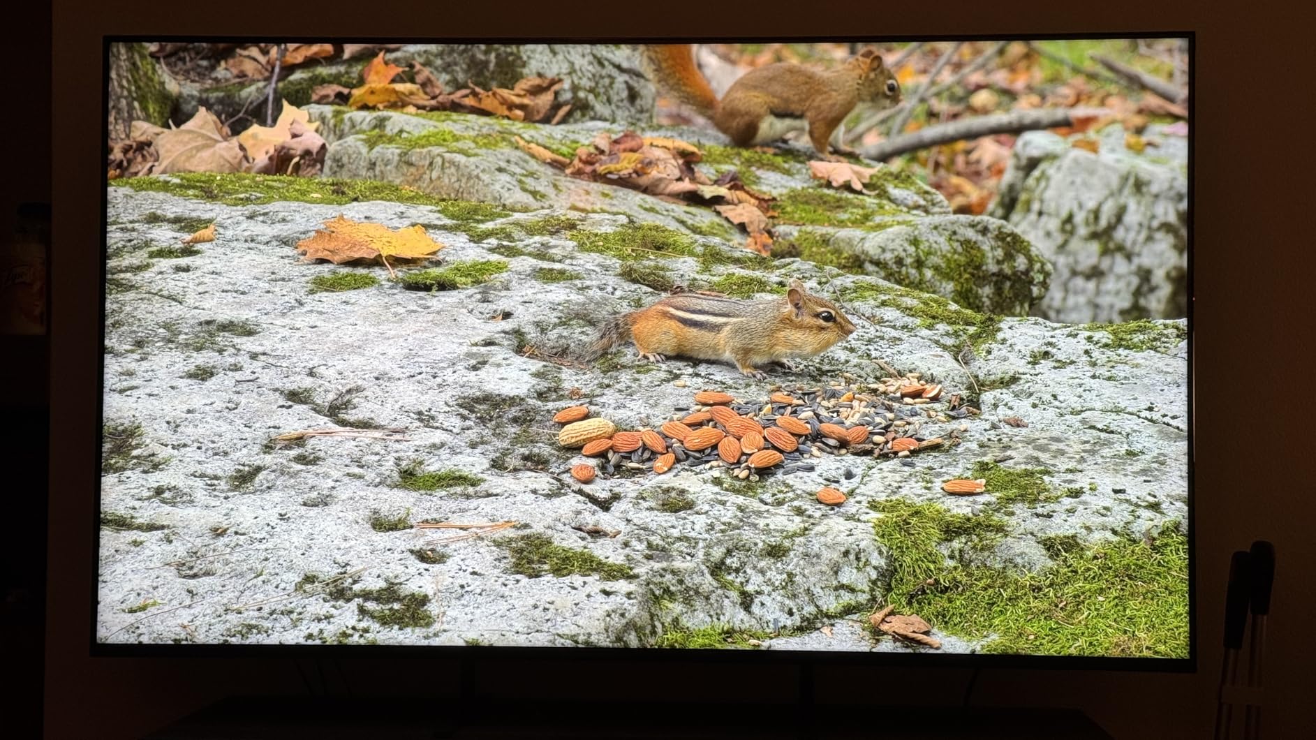 Sony BRAVIA 5 75 Inch TV, Mini LED, 4K Smart Google TV with XR Processor (K-75XR50, 2025 Model) customer photo 1