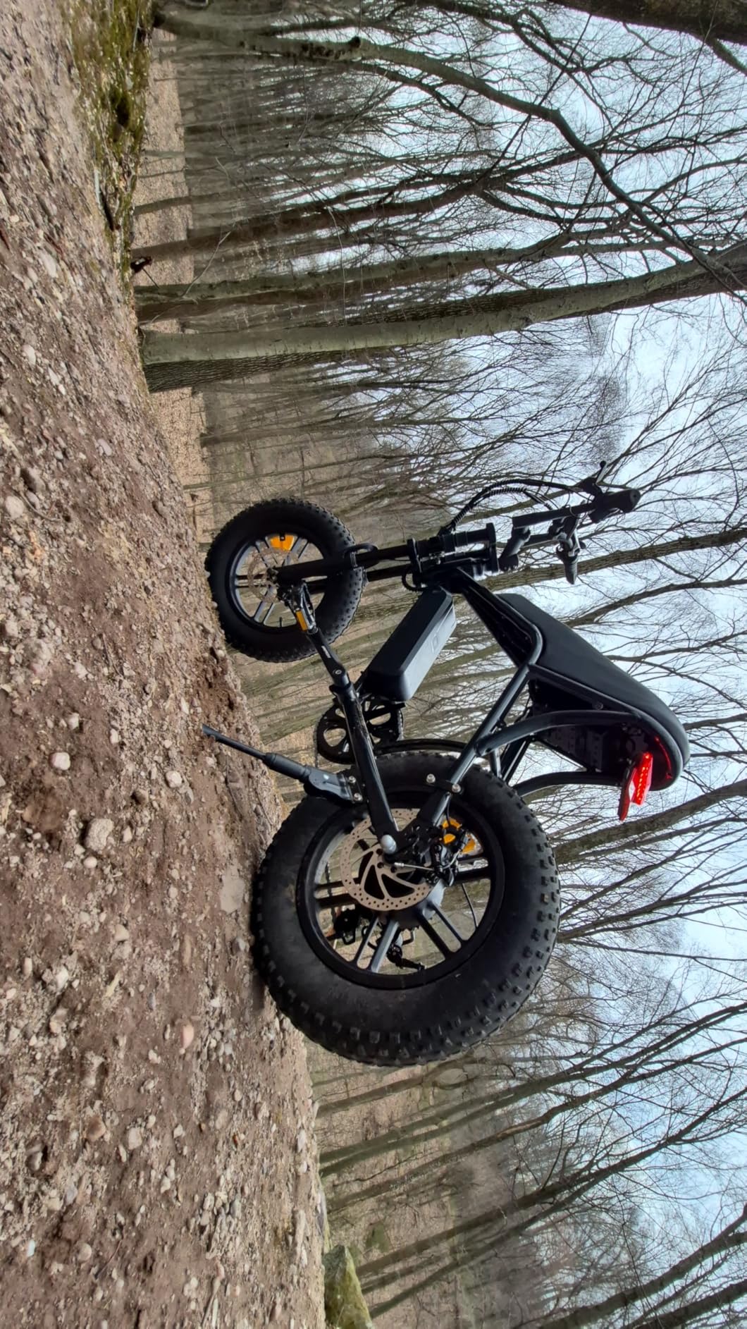 OUXI V8 Series Electric Bike for Adults, Ebike Peak 500W/1000W, 20/31 MPH, 10.4/15/30 AH Removable Battery, 16''/20