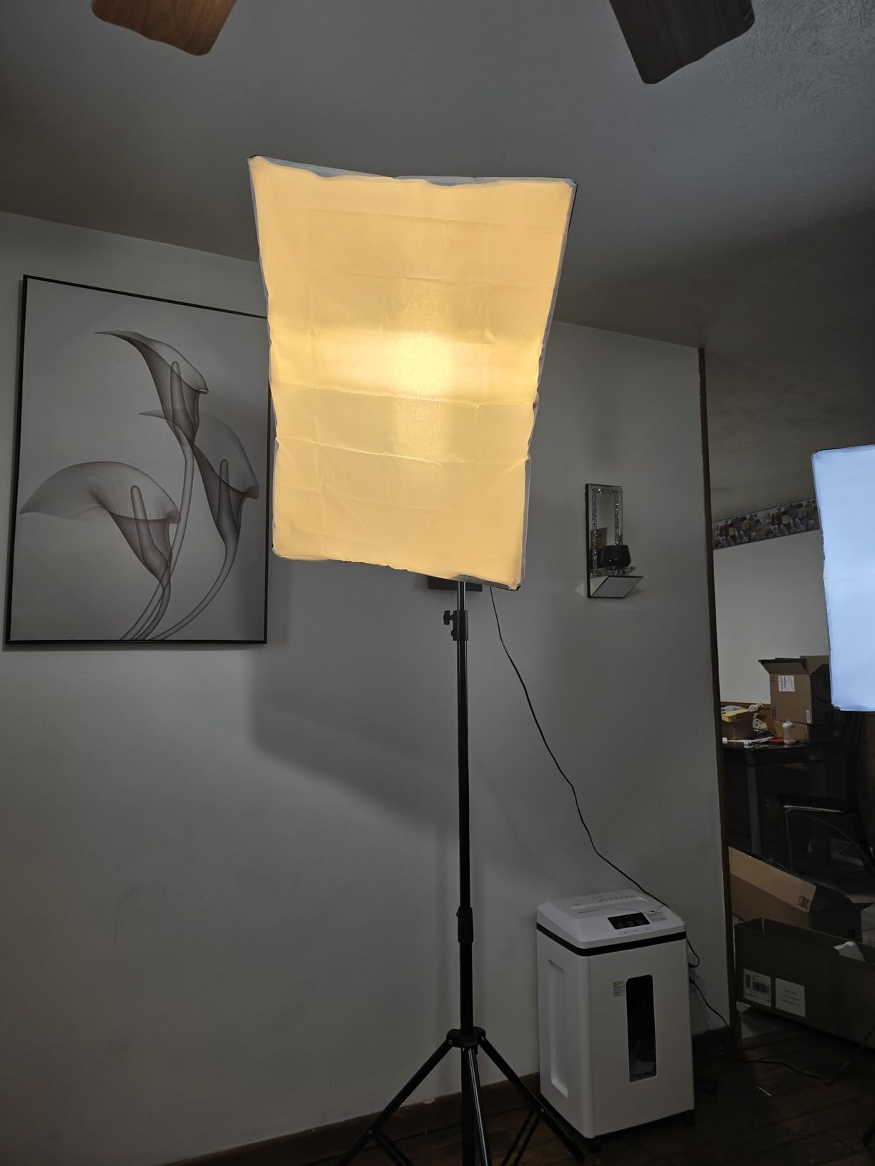 NiceVeedi 85W Photography Lighting, 2-Pack 20'' x 28'' Professional Softbox Lighting Kit with 53'' Boom Arm & 91'' Tripod Stand, Remote Control, Studio Lights for Live Streaming/Portrait/Photography customer photo 1