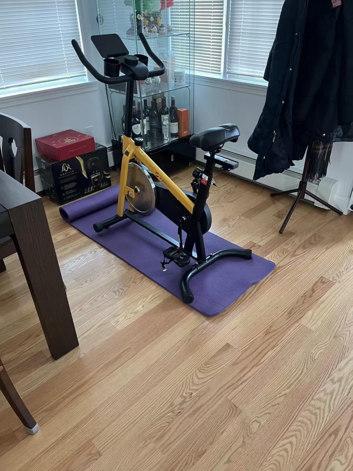 Exercise Bikes for Home, Indoor Cycling Bike with Adjustable Friction, Brake Pad Resistance Silent Belt Drive customer photo 1