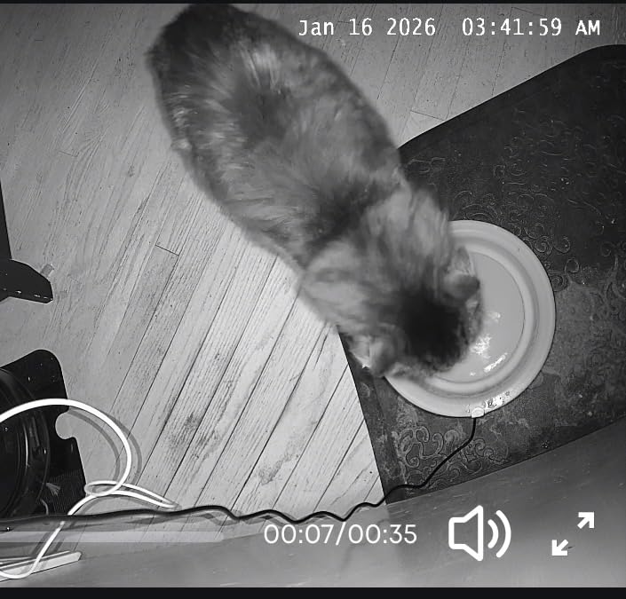 eufy Security 4K Indoor Camera E30 -No Subscription,360° Pan Tilt,AI Auto Tracking,Color Night Vision,Pet/Baby/Nanny Camera with Two-Way Audio,AI Human/Pet Detection,Works with HomeKit((2-Pack) customer photo 2