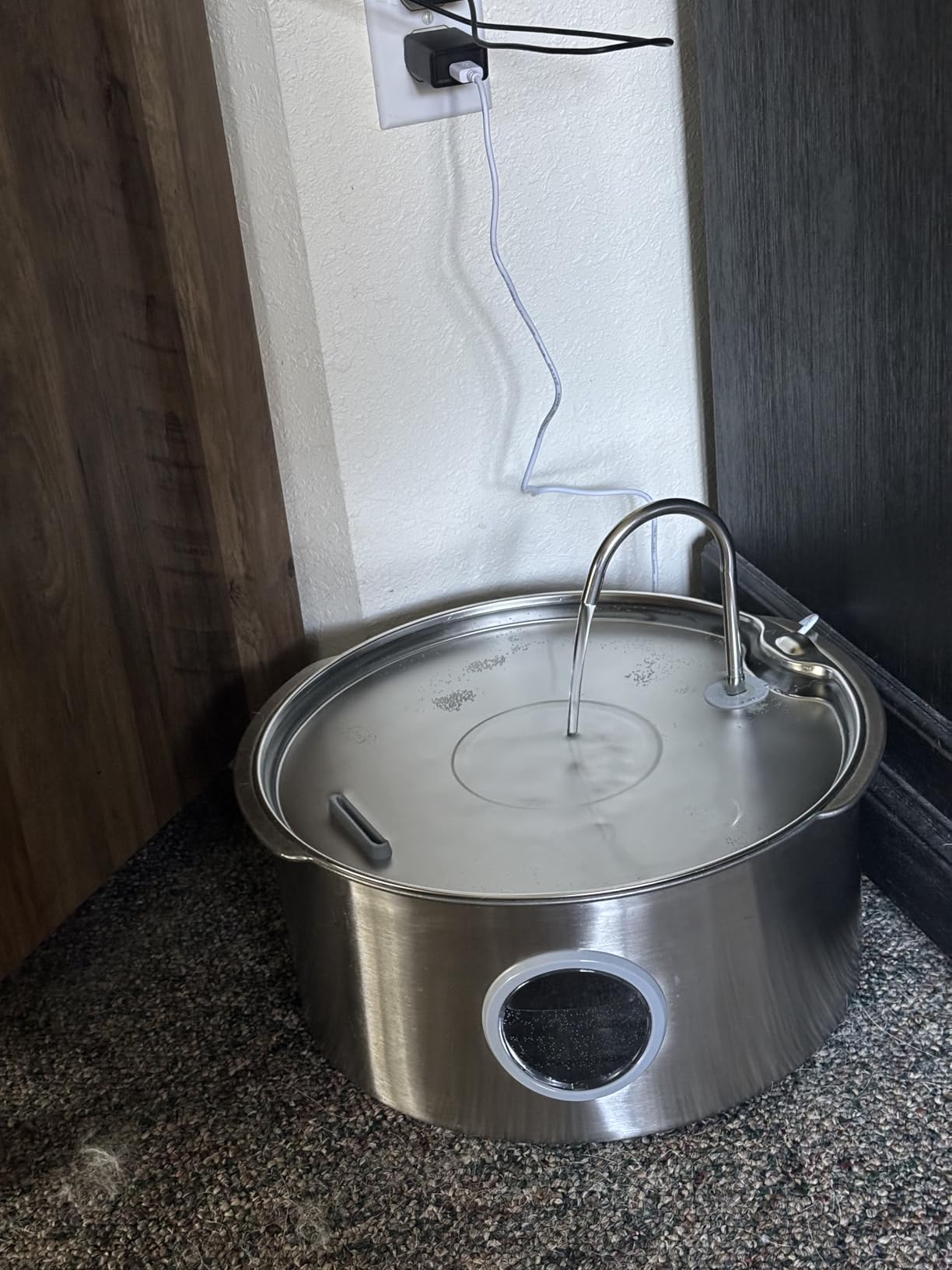 Dog Water Fountain for Large Dogs: Stainless Steel Dog Fountain Water Bowl - 3.2Gal/406oz/12L Super Quiet Big Cat Water Fountain with Visual Water Level -Great for Large Dogs Cats and Multi-Pet Home customer photo 1