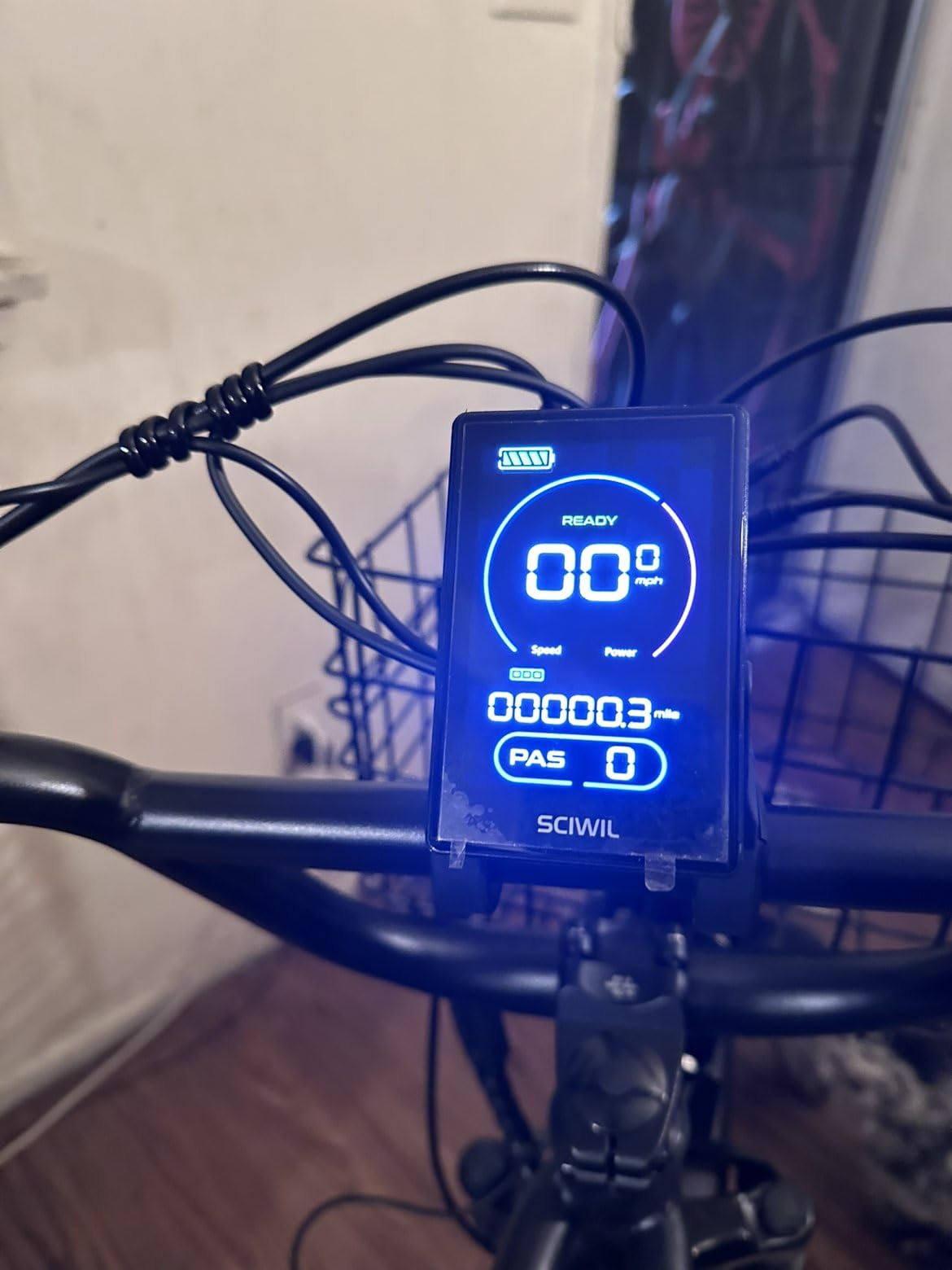 bluebiko 2 Seater Electric Bike, 48V 20AH(960WH) Large Removable Battery, 1300W Peak Motor, 20