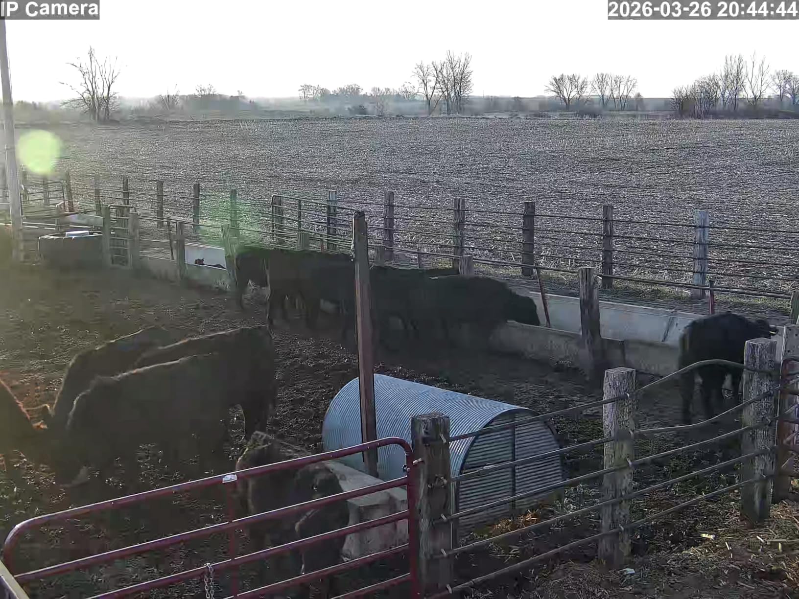 4K PTZ Security Camera Outdoor with 50X Optical Zoom, High-Speed 360° Pan & 90° Tilt, 8MP WiFi Camera with 1200FT IR Night Vision, Auto Tracking, Person/Vehicle/Pet Detection, RTSP customer photo 2