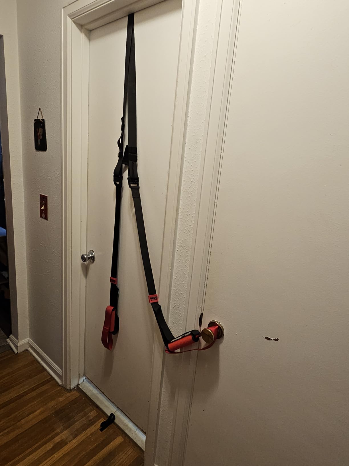 Suspension Straps Trainer for Home Gym with Integrated Door Anchor for 1-Second Setup, All in One Bodyweight Resistance Bands for Indoor & Outdoor Fitness Training System customer photo 2