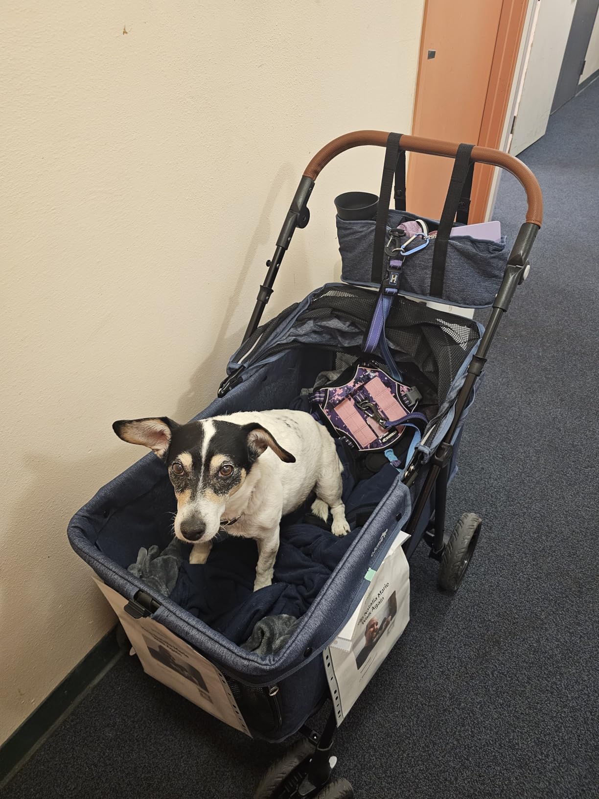 Dog Stroller for Large & Medium Dogs (20-132 lbs), Pet Stroller for 2 Small Dogs, Extra Large Heavy Duty, Foldable & Ventilated, Pink or Navy customer photo 1