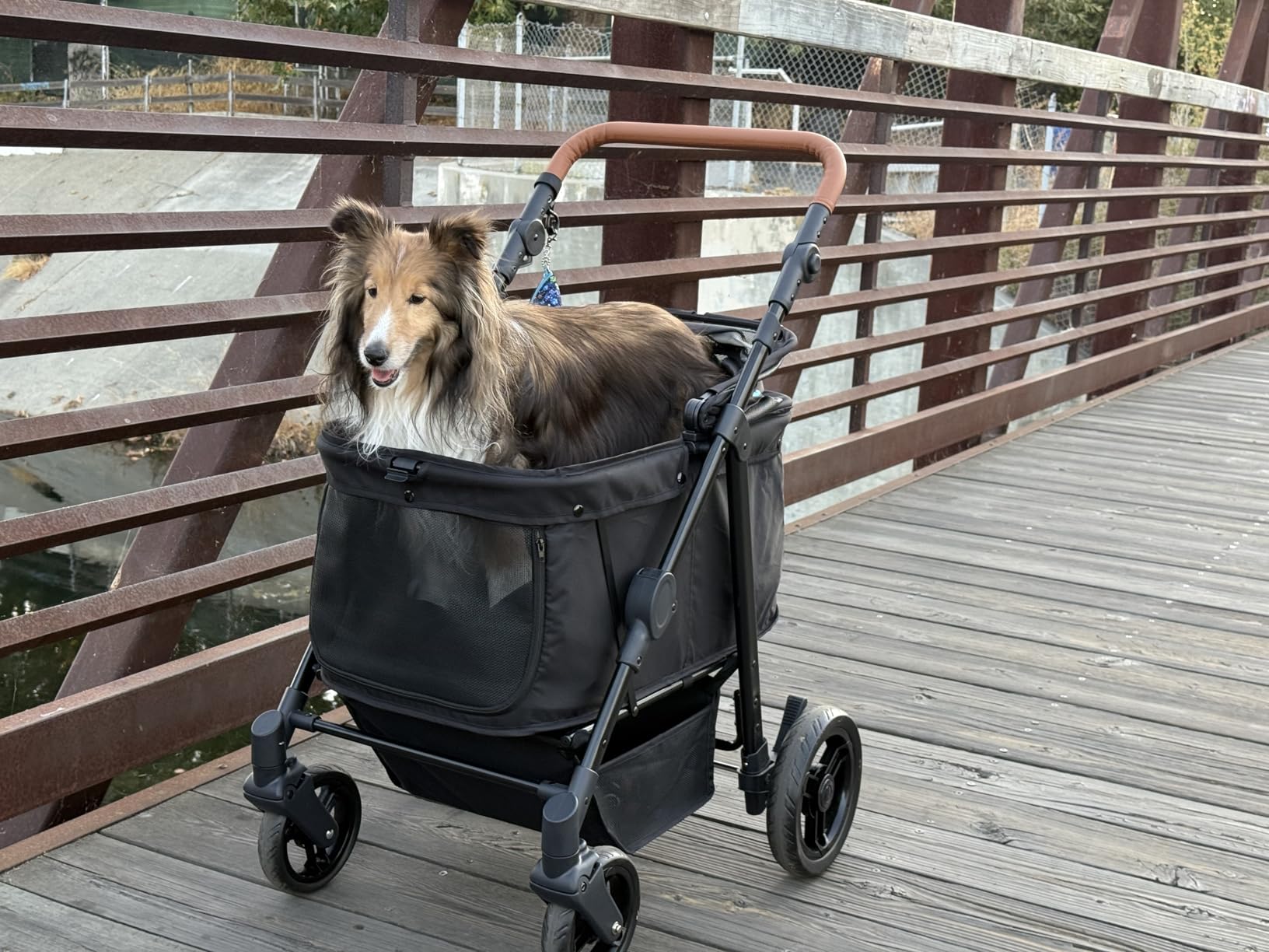 Zoosky Medium Dog Stroller for Large Dogs, pet Stroller for Medium Dogs Up to 66lbs, All-Terrain with Adjustable Handle & Canopy, Sun Shades, Storage Organizer, Waterproof Oxford Fiber customer photo 2