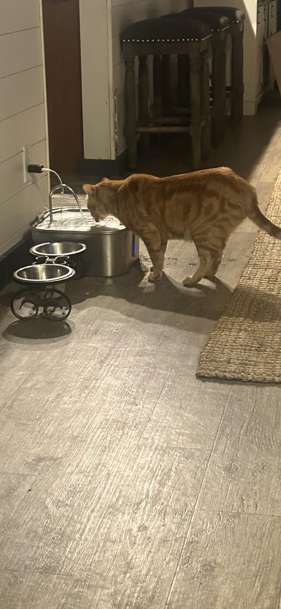 Large Dog Water Fountain 14L/3.7Gal, Stainless Steel Pet Fountain for Large Dogs and Multi-Pets Families, with Visible Window & Extra Wide Drinking Area, Square Design Enlarges Capacity & Saves Space customer photo 1