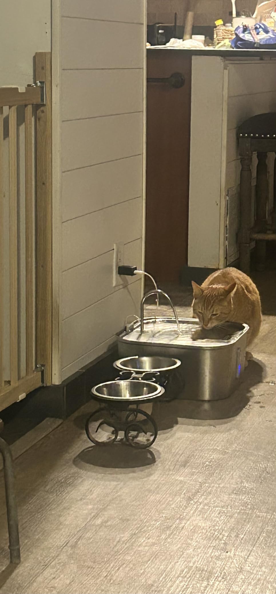 Large Dog Water Fountain 14L/3.7Gal, Stainless Steel Pet Fountain for Large Dogs and Multi-Pets Families, with Visible Window & Extra Wide Drinking Area, Square Design Enlarges Capacity & Saves Space customer photo 2