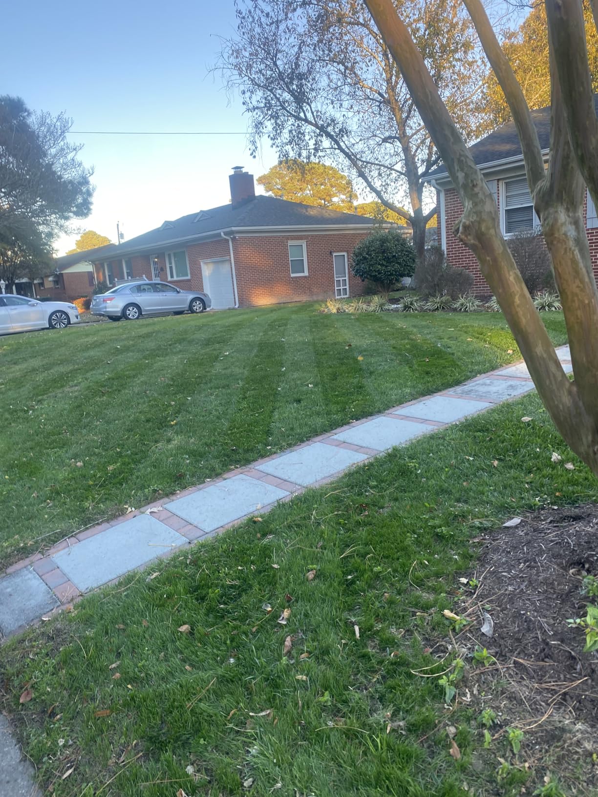 21inch Mower Striping Stainless Steel Kit Easy Install for EGO 21inch Walk Behind Mowers customer photo 1