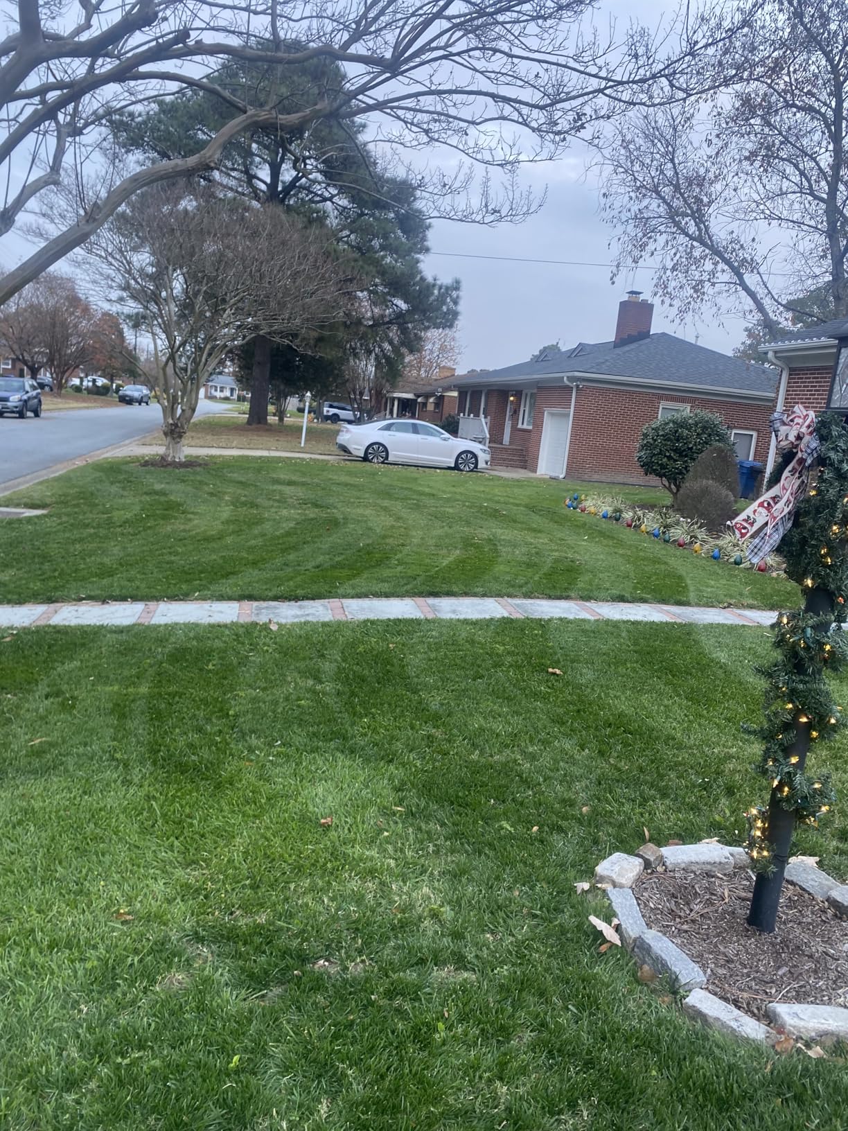 21inch Mower Striping Stainless Steel Kit Easy Install for EGO 21inch Walk Behind Mowers customer photo 2