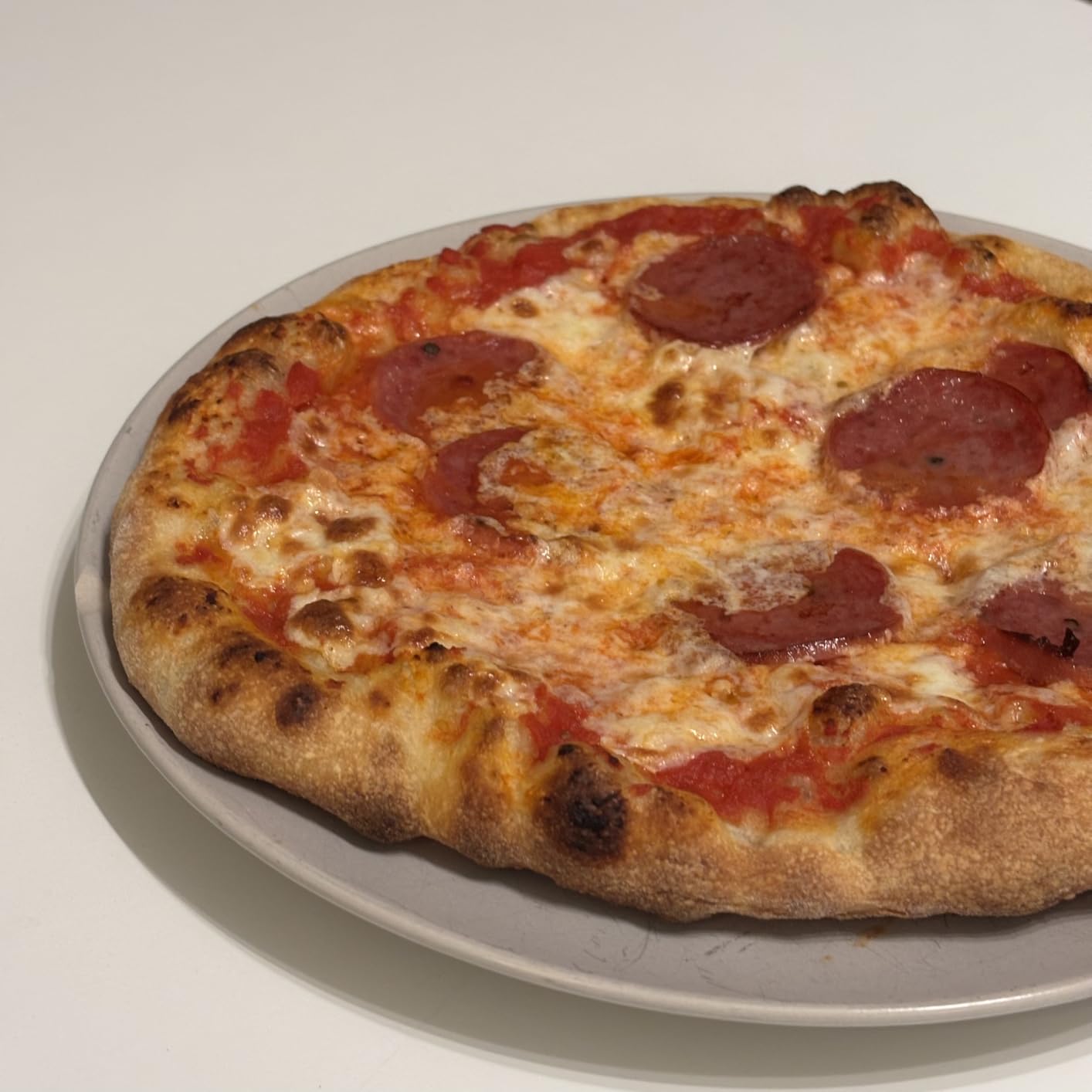 BIG HORN OUTDOORS Pizza Oven Indoor, 14 Inch Electric Countertop Pizza Oven with 6 Preset Modes, Perfect Pizza Maker Machine for Home, Pizza Cooker with Pizza Stone and Pizza Peel, Stainless Steel customer photo 1