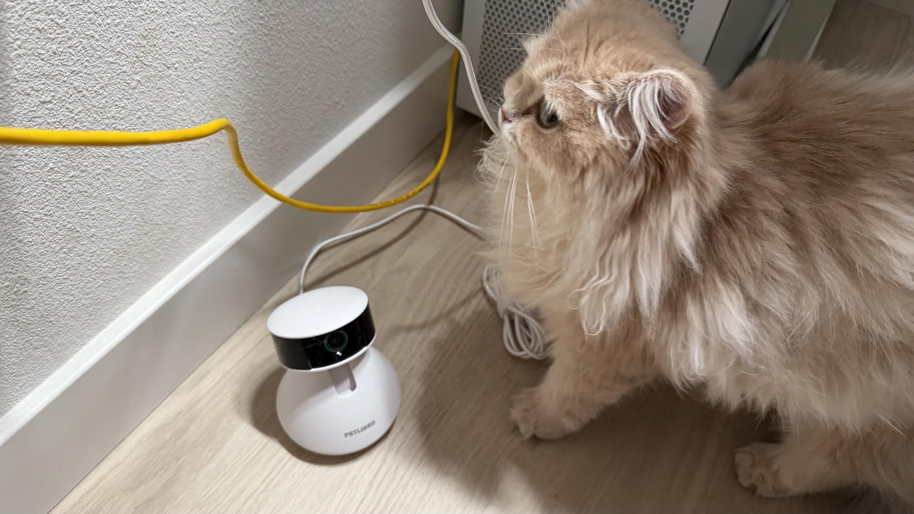 PETLIBRO AI Dog Camera Pet Camera Indoor with Phone App [Multi-Pet Recognition, Daily Activity Analysis & Smart Summaries] Cat Cam 360° View, 1080P Dog Cam Night Vision, 2-Way Audio customer photo 2