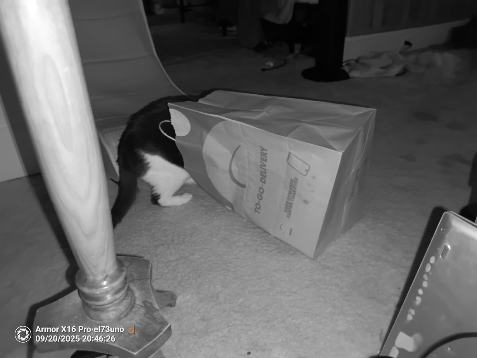 Ulefone Armor X16 Pro 5G Rugged Phone, 16GB+256GB/2TB, MTK Dimensity 6300 Android 15, 10360mAh(33W) 64MP+25MP Night Vision 6.56