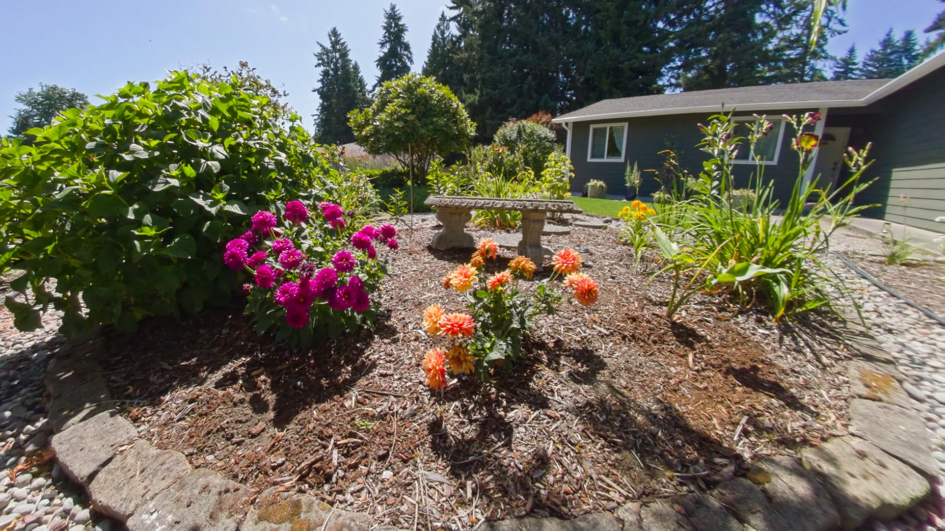 AKASO 360 Weatherproof 360° Action Camera - 5.7K 360 Video with 1/2