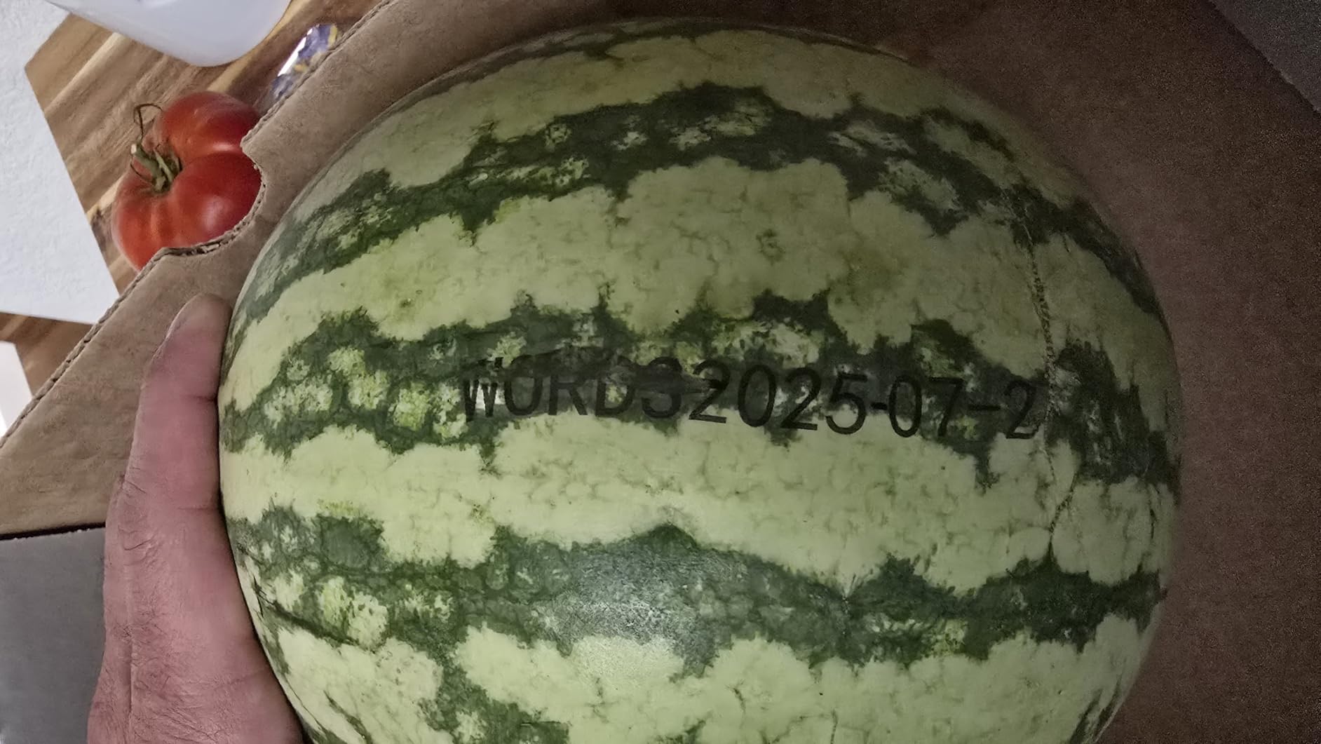 Handheld Inkjet Printer with 42ml Quick-Drying Ink Cartridge, 0.5 Inch Nozzle Ink Jet Coding Machine for EXP Date/Batch Number/QR Code/Barcode/Logo/Text (ZM-C12mini) (Black) customer photo 1