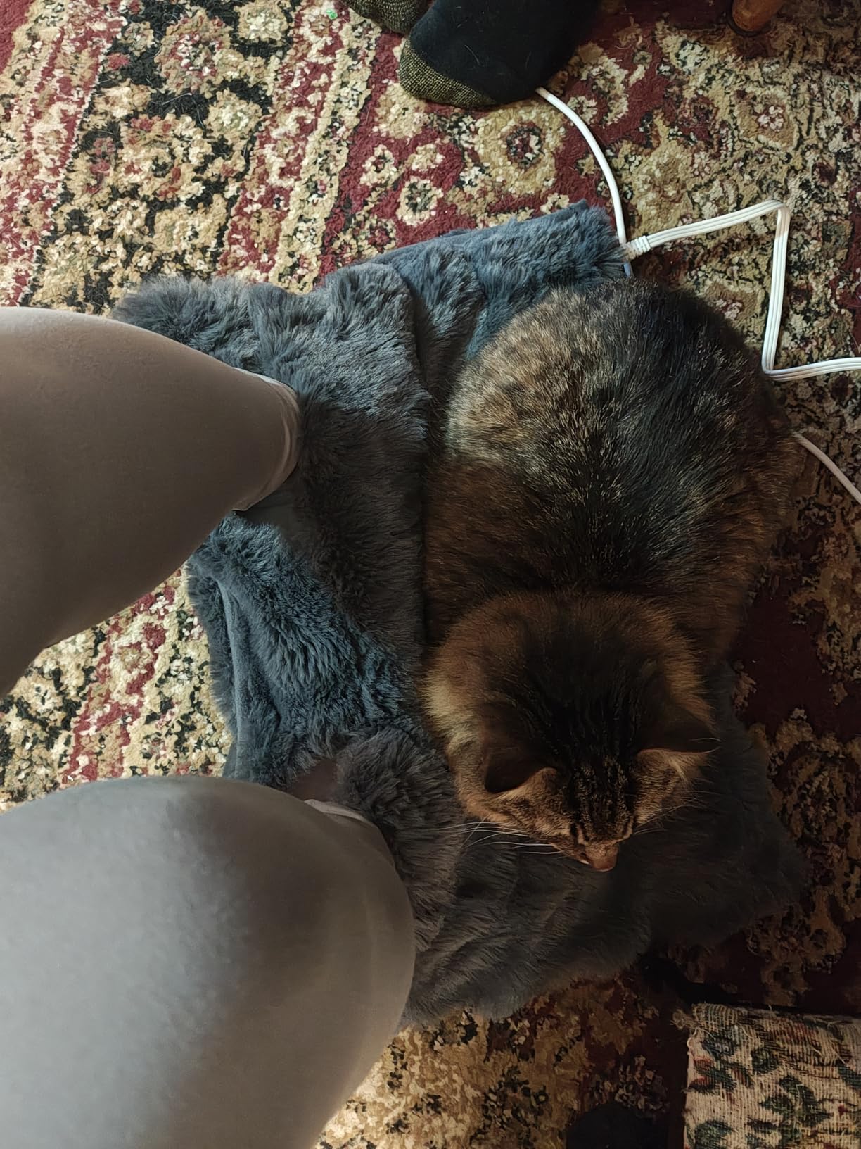 Electric Foot Warmer, Luxury Faux Fur Heating Pad for Feet Pain Relief Cramp, Heated Foot Warmer for Under Desk & Bed with 3 Heat Settings & 2H Auto-Off, ETL Certified, 16x22 Inch, Light Grey customer photo 1