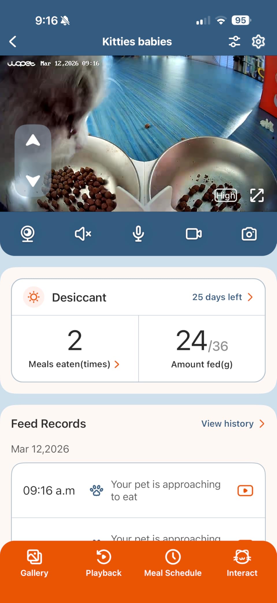 WOPET Automatic Cat Feeder with Camera for Two Cats, 6L Automatic Dog Feeder with HD Video and Night Vision, 5G/2.4G WiFi Pet Feeder for Cats & Dogs, SD Card Storage & 2-Way Audio customer photo 2