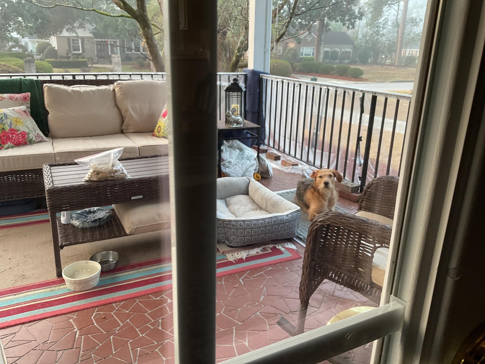 Large Pet Heating Pad, Waterproof Heated Dog Cat Bed with 11 Adjustable Temperatures & 24H Timer, Auto Shut-Off, Chew-Resistant Cord, Washable Cover, Indoor Electric Heating Mat, Grey, L(35