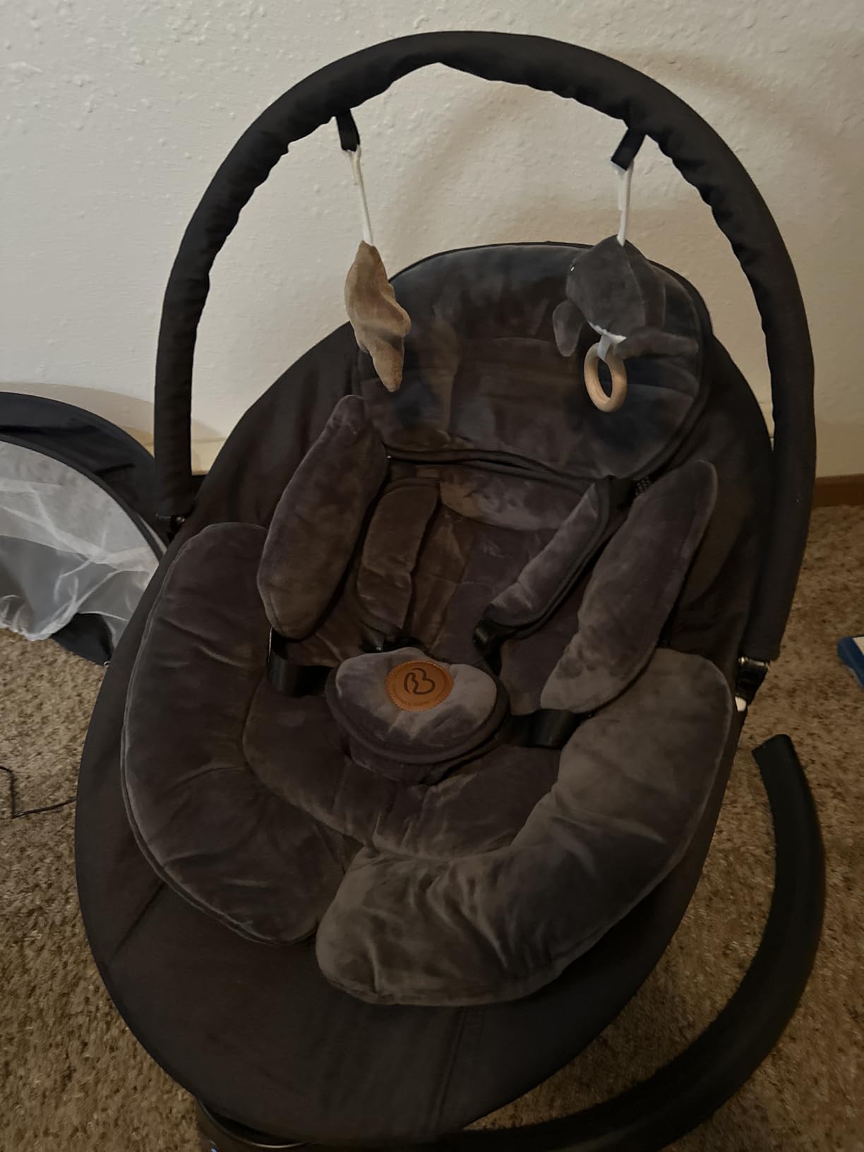 Baby Swings for Infants, FasonBaby Electric Baby Swing with 10 Preset Melodies, 5 Speeds, Remote Control and Bluetooth - Portable Infant Swing for Indoor and Outdoor(Beige) customer photo 1