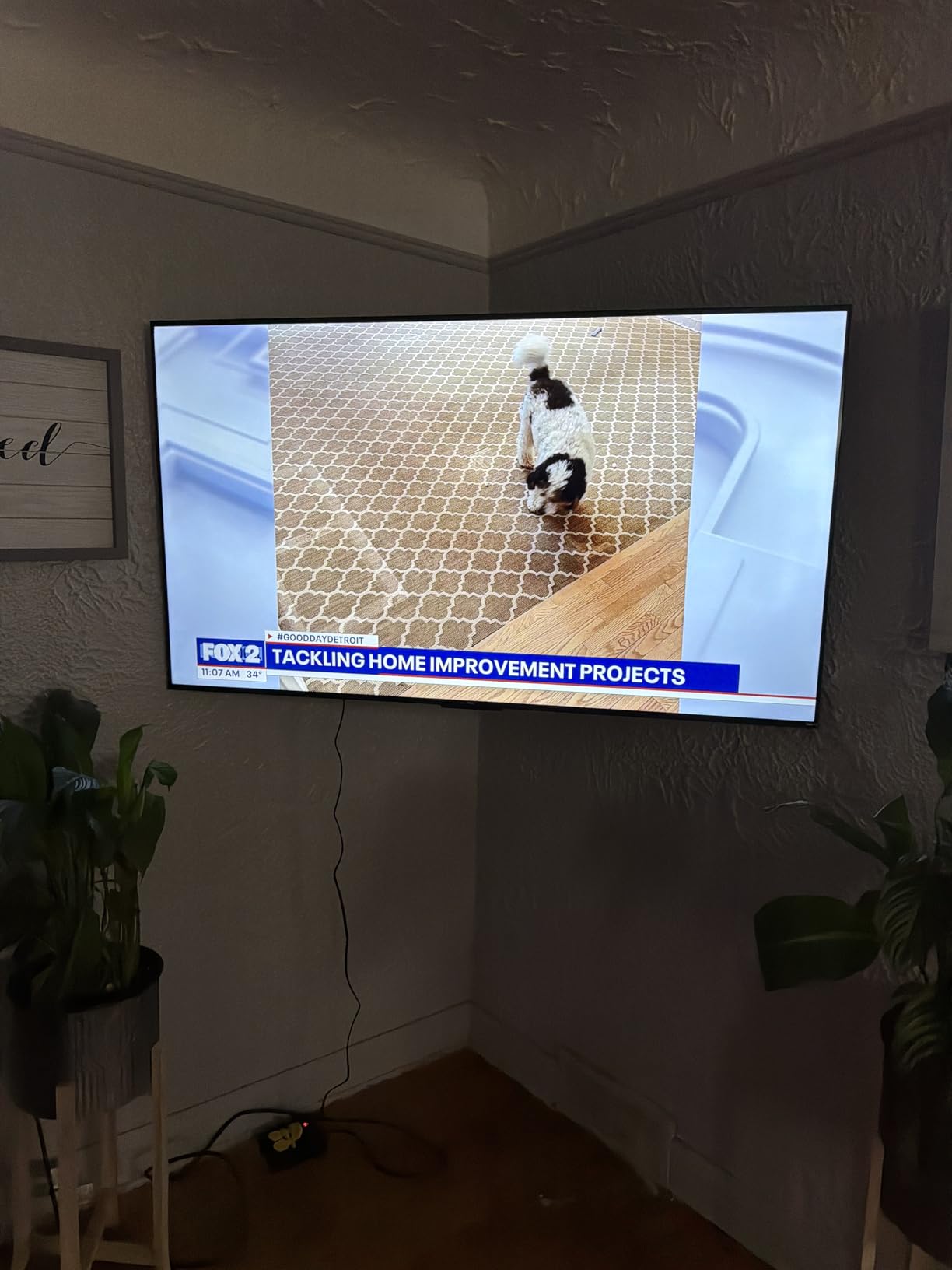 USX STAR Corner TV Wall Mount Long Arm TV Mount Bracket for 37-84 Inch TVs, Full Motion TVs Wall Mounts with 32