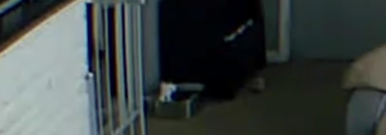 Cordless Wider Tray Dog Water Fountain, 5000mAh Battery Operated Dog Water Bowl Dispenser with 3 Motion Sensor, FEELNEEDY Stainless Steel Pet Water Fountain for Multi-Pets, Easy Setup & Clean, 8L customer photo 1