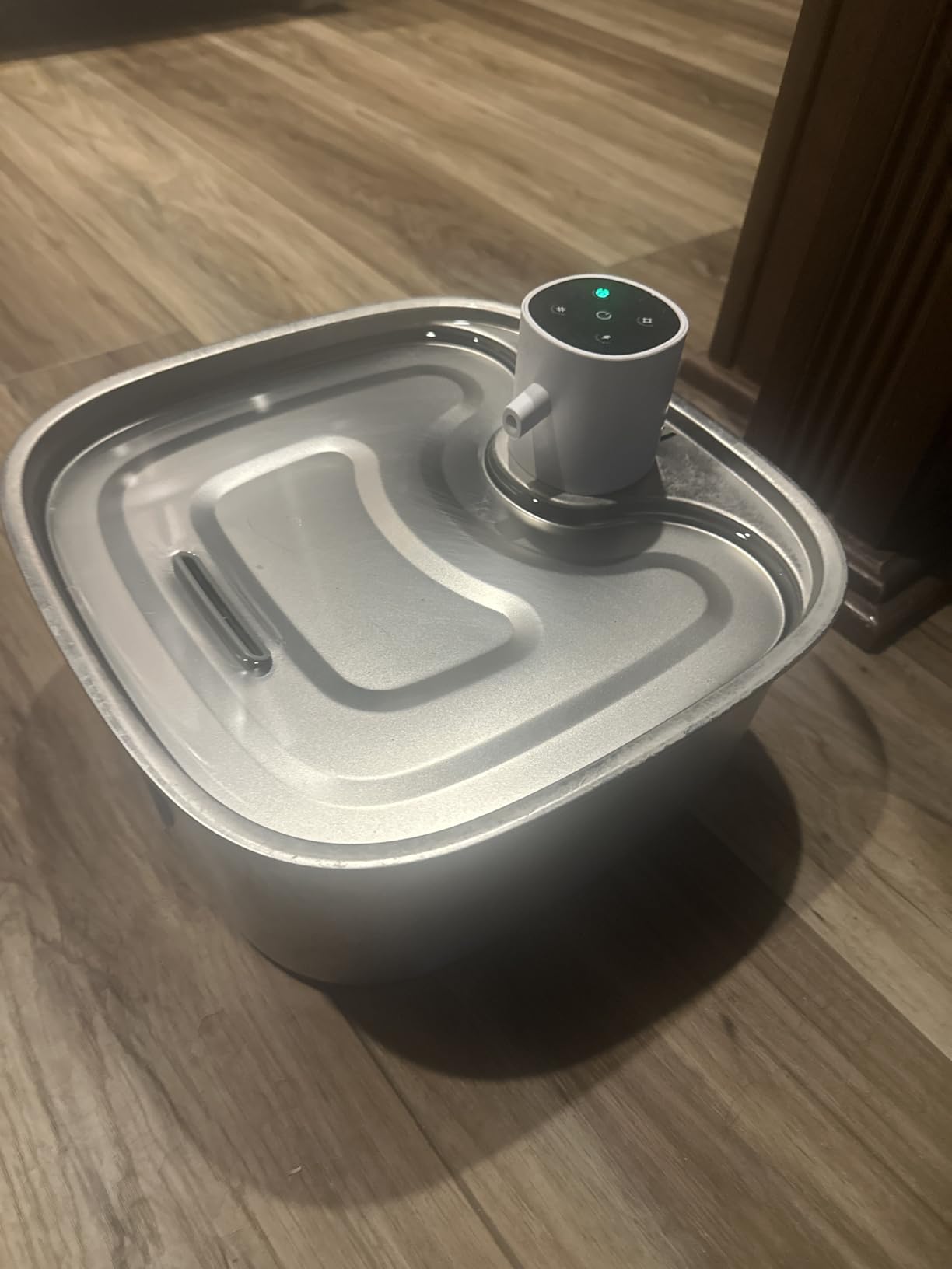 Cordless Wider Tray Dog Water Fountain, 5000mAh Battery Operated Dog Water Bowl Dispenser with 3 Motion Sensor, FEELNEEDY Stainless Steel Pet Water Fountain for Multi-Pets, Easy Setup & Clean, 8L customer photo 2