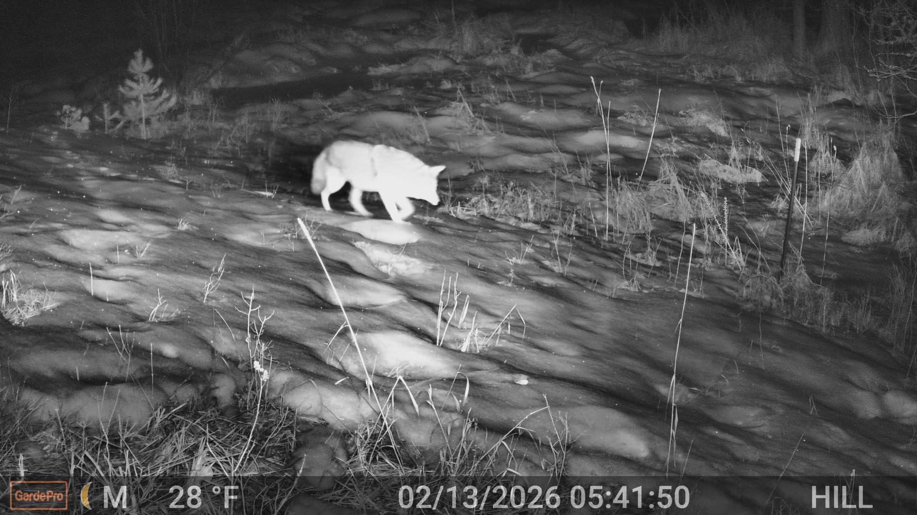 GardePro E8 2.0 Pro WiFi Trail Camera (Non-Cellular), 4K Video & 64MP Photo, 7800mAh Battery, 165ft Long-Range Dual Antennas, Live View, No-Glow IR Night Vision, Motion Detection customer photo 2