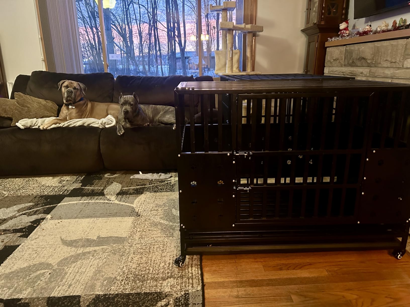 Cammoo 48 inch Heavy Duty Dog Crate for Large Dogs, Upgraded Chew-Proof Panels, Comfort-Widened Floor Panel, Dog Kennel Indoor, Adjustable Internal Height, Easy-Access Wide Door, 4 Lockable Wheels customer photo 1