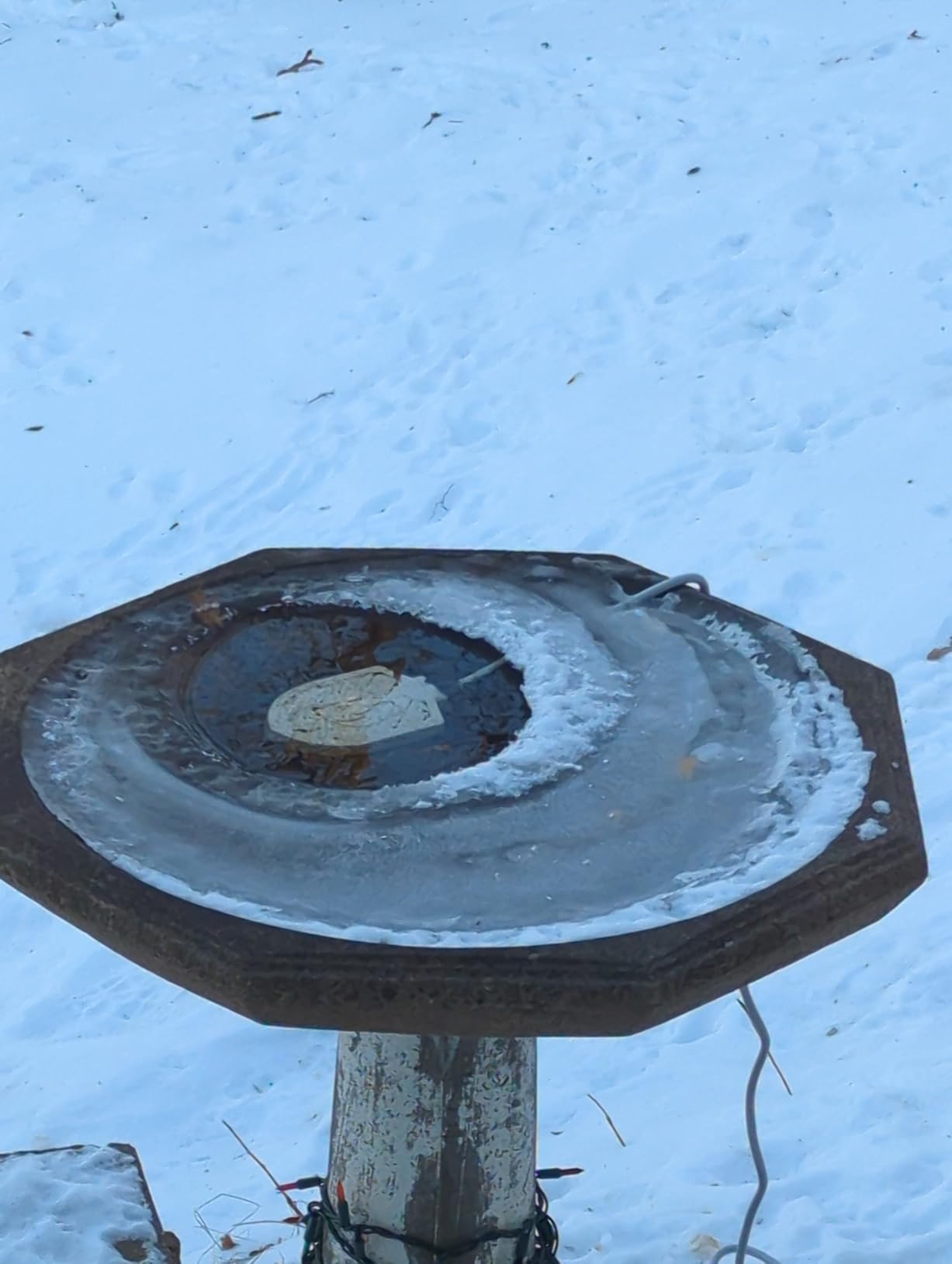 100W Bird Bath Heater, Birdbath Heaters for Outdoor Bird Bath Water Heater in Winter Submersible Thermostat Control, Heated Bird Bath Deicer for Outside Bird Chicken Poultry Livestock (Black) customer photo 2