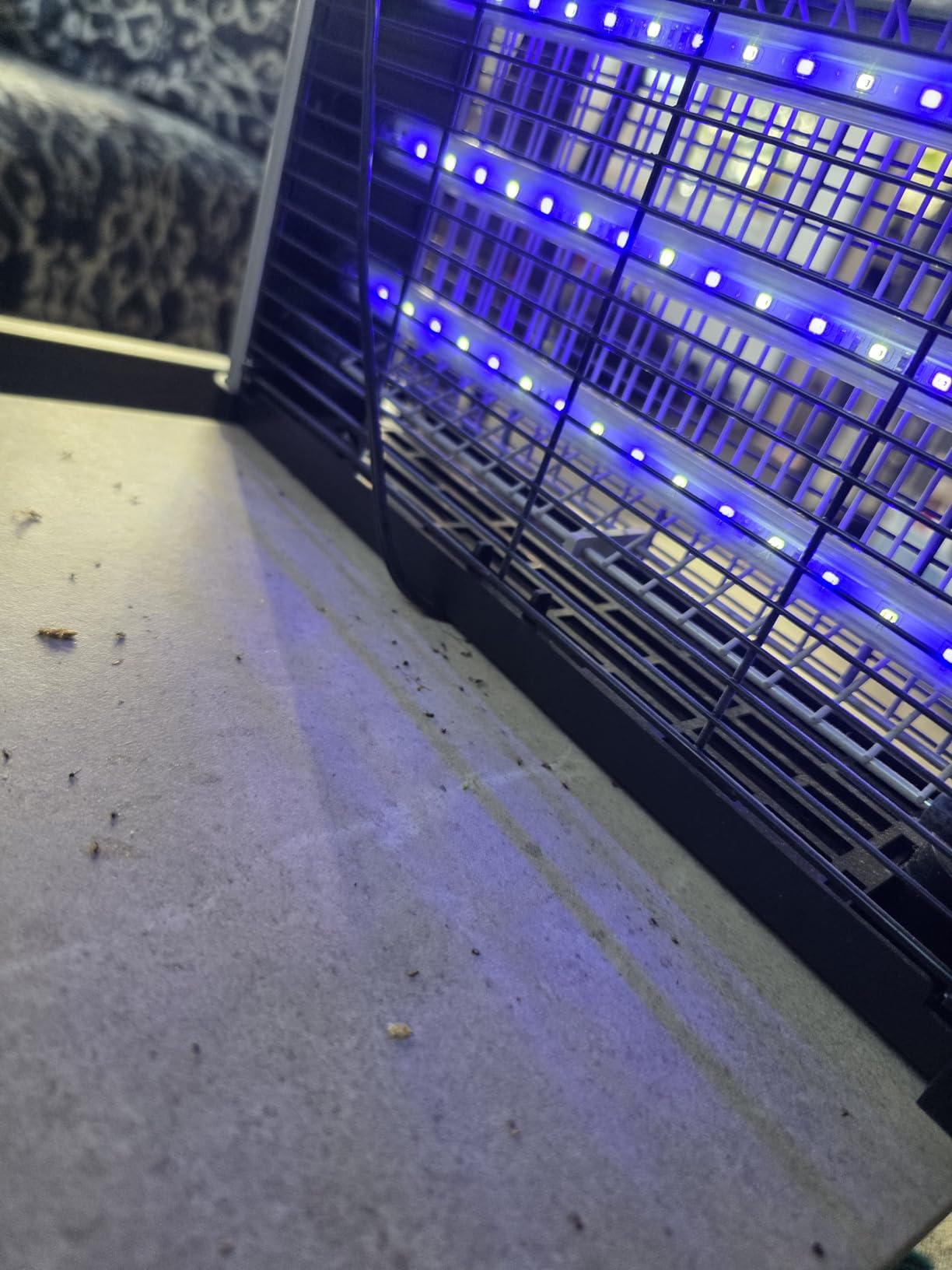 Buzbug LED Bug Zapper Indoor, 3800V High-Voltage, 3 LED Bulbs Up to 50,000 Hours, Electric Mosquito Zapper, Fly Trap Mosquito Trap, Fly Killer Fly Zapper customer photo 2