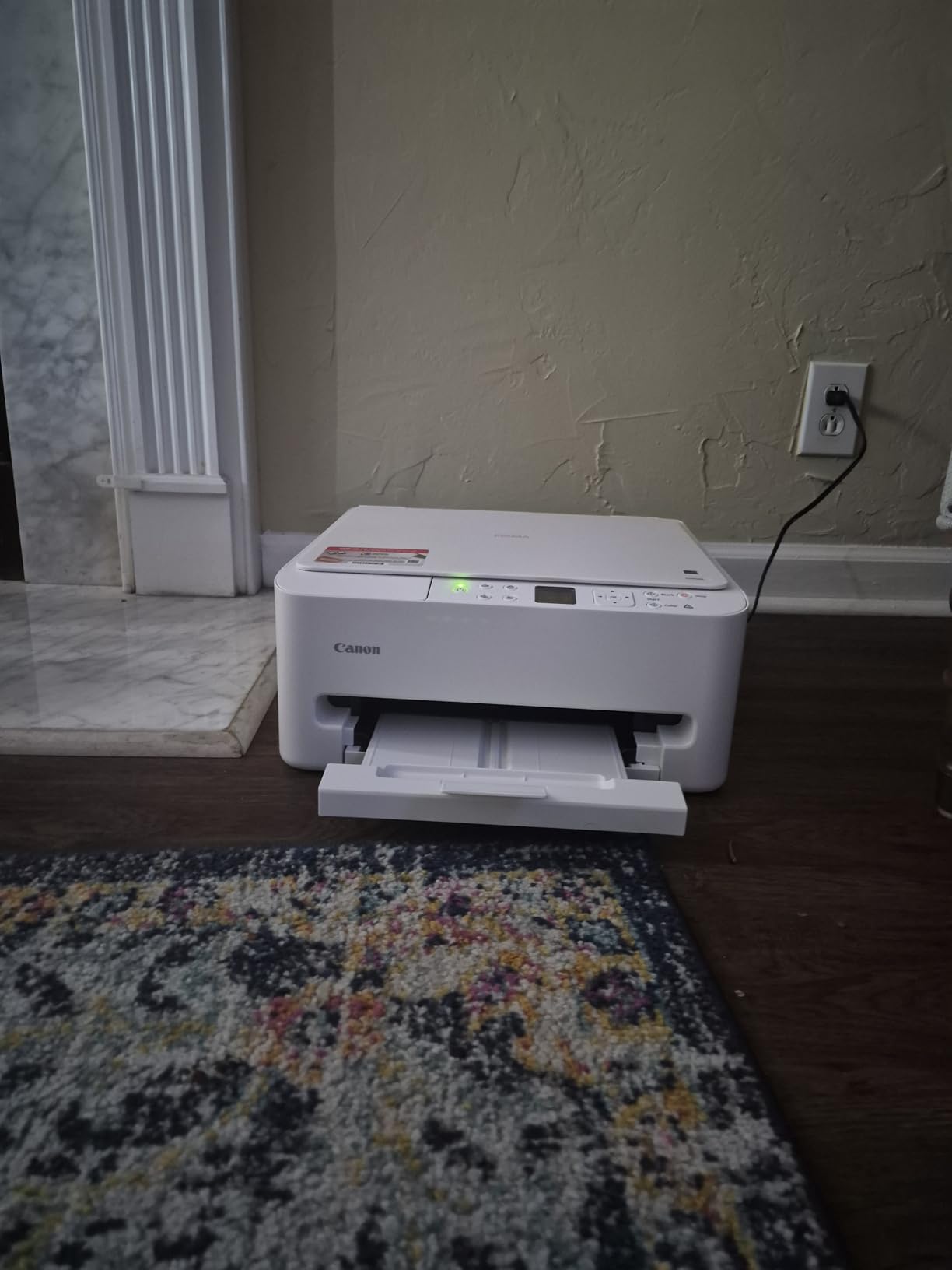 Canon PIXMA TS6520 Wireless Color Inkjet Printer with Duplex customer photo 1