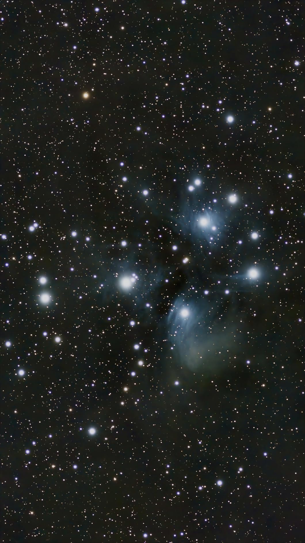 ZWO Seestar Fluid Tripod Head TH10 for Seestar Smart Telescope, Fluid Tripod Head for Equatorial Mode, 360 Degree Pan & Plus/Minus 90 Degree Tilt, Compatible with DSLR, Mirrorless & Video Cameras customer photo 2