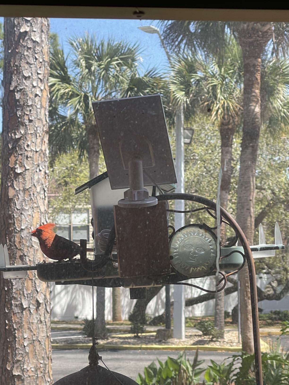 Dual-Lens Bird Feeder with Camera & Bird Bath Combo, Watch Birds Eat & Bathe with WiFi 2K HD Video, Auto Record, AI Recognition, APP Alerts, Solar Powered, for Backyard Garden Porch Fence Decor customer photo 1