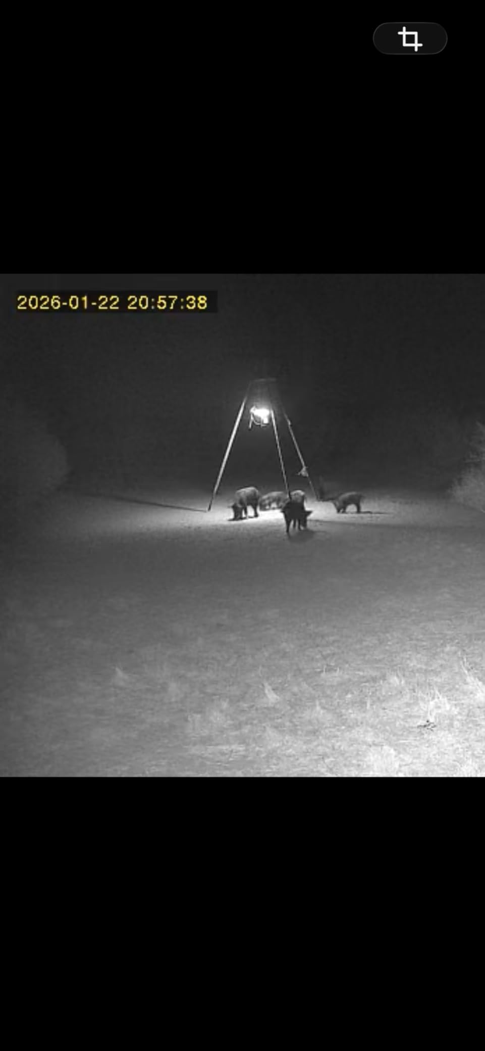 Oculview Cellular Trail Camera with 360° Live Streaming, Solar Powered, Built-in 4G SIM Card, Remote Access, Motion Activated, 2K Night Vision, No WiFi Needed's Cellular Security Camera customer photo 2