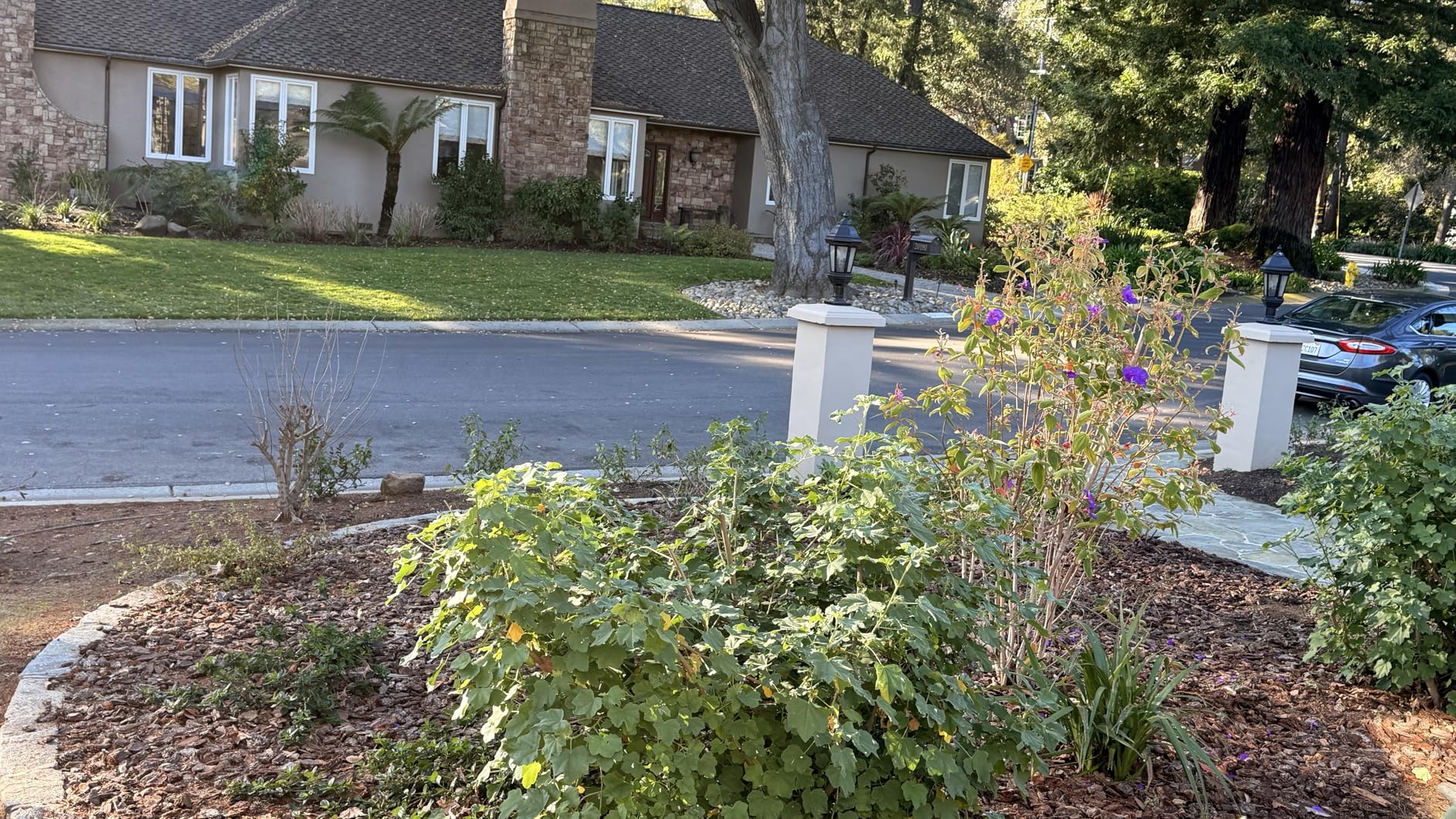 4K PTZ Security Camera Outdoor with Rapid 10X Hybrid Zoom, 355°Pan & 90° Tilt, True 8MP Dual-Lens WiFi Camera with Auto Tracking, AI Human/Vehicle/Pet Detection, Color Night Vision, RTSP customer photo 2