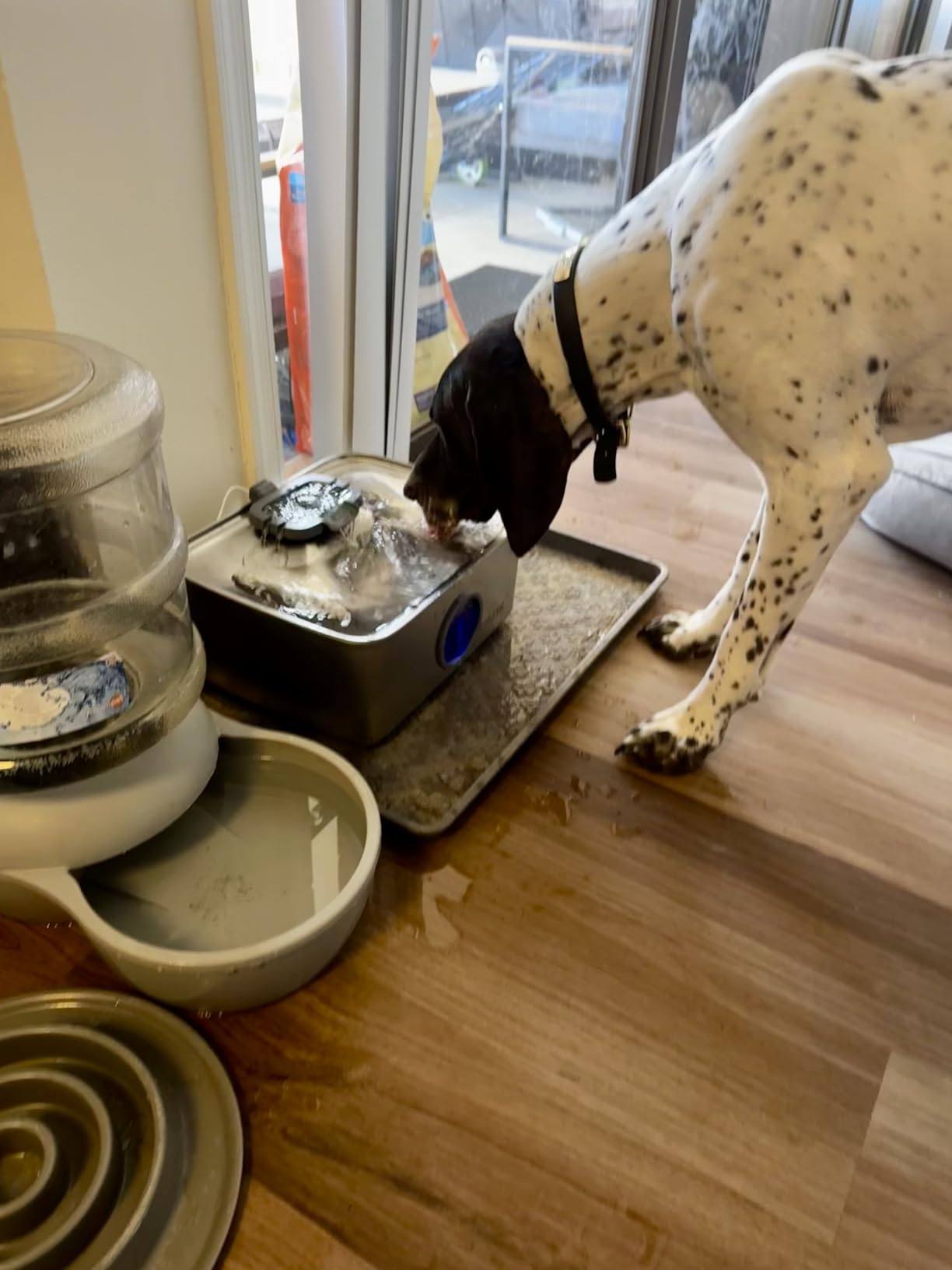 SIBAYS 4Gal/15L Dog Water Fountain, Stainless Steel Large Capacity Pet Water Fountain with Water Level LED Light, Automatic Quiet Dog Water Bowl Dispenser for Large Dogs & Multi-Pet Easy to Clean FS79 customer photo 1