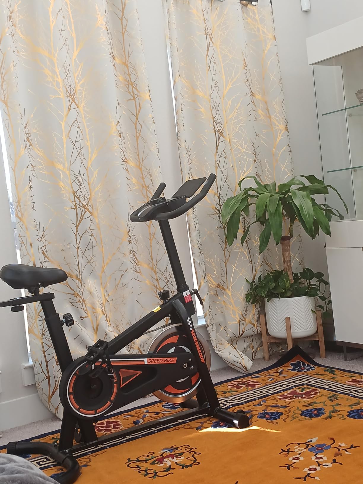 OWLSKY Exercise Bike with APP, Indoor Cycling Bike, 300 lbs Capacity Quiet Stationary Bike for Home Gym customer photo 1