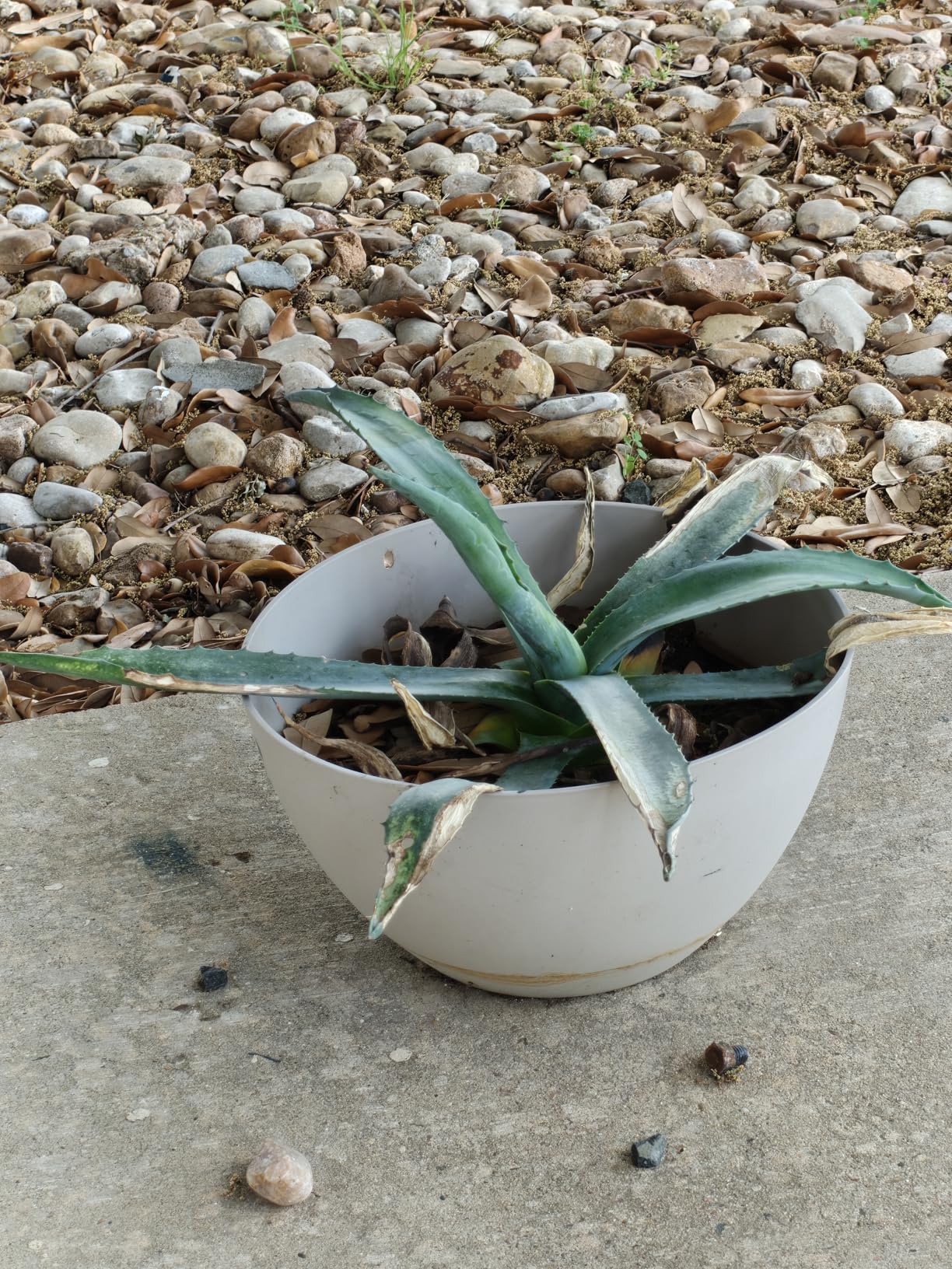 OnePlus 15, 16GB RAM + 512GB Storage, Dual-SIM, Unlocked Android Smartphone, Snapdragon 8 Elite Gen 5, 7300mAh Battery, Infinite Black customer photo 1