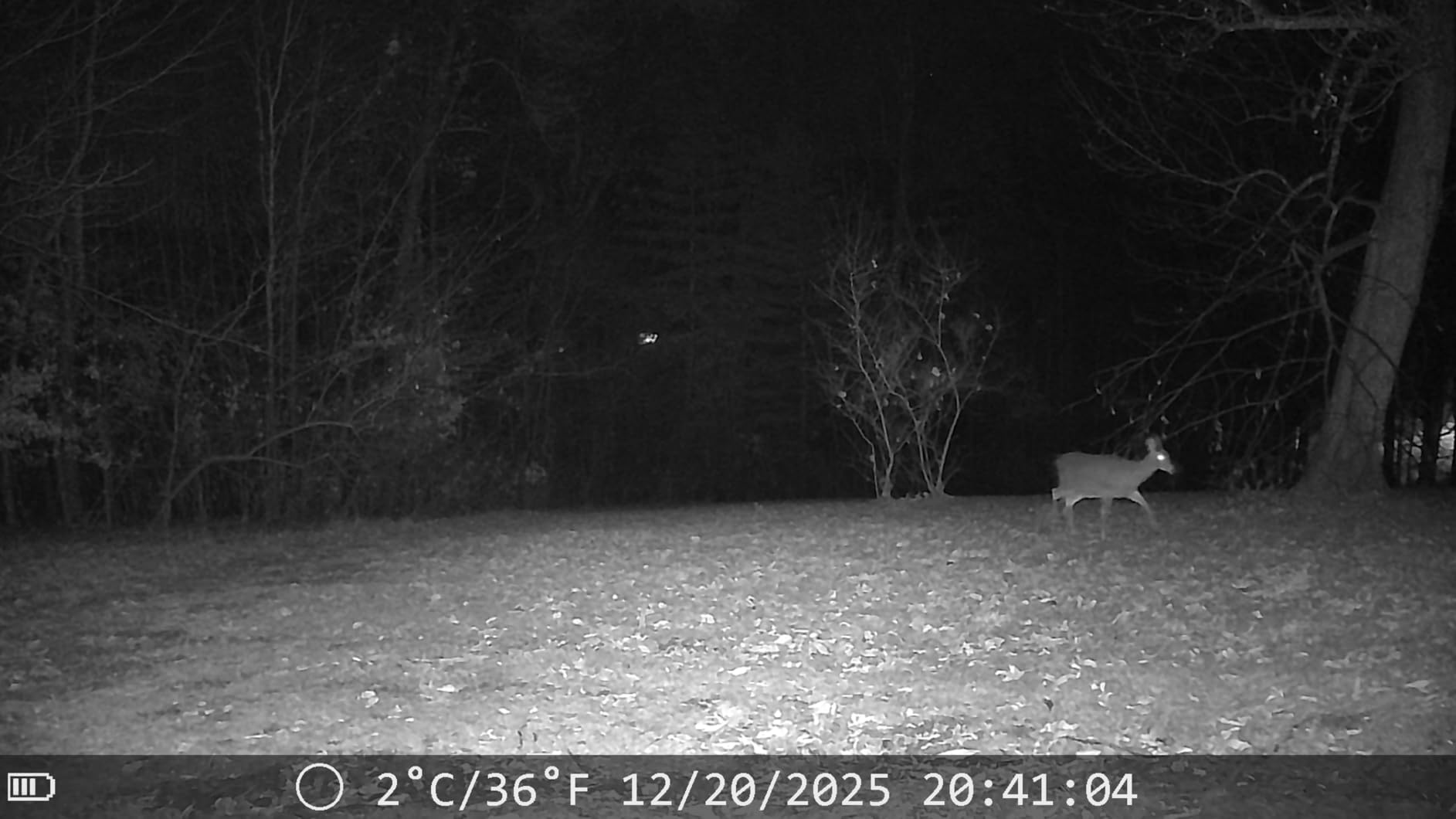 Trail Camera Solar Powered - 4K 60MP WiFi Game Camera, 0.1s Trigger, 7800mAh Forever Power, 65FT Detection, Low Glow Night Vision, IP66 Waterproof, 32GB Included for Wildlife Monitoring customer photo 1