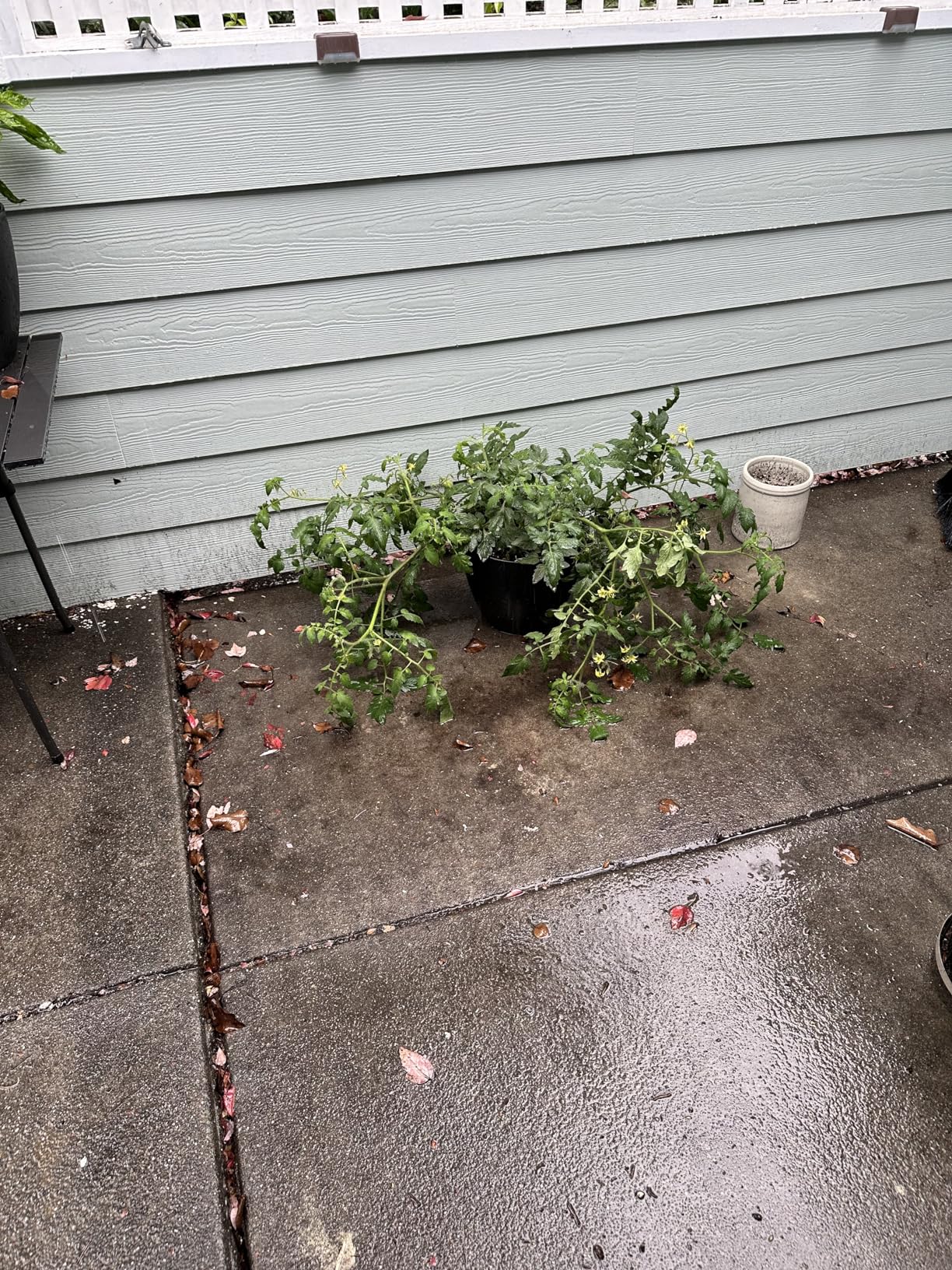 Self-Watering Pots for Indoor Plants 4 Pack, 6/8/10/12 Inch Outdoor Planters with Water Level Indicator & Deep Reservoir customer photo 2