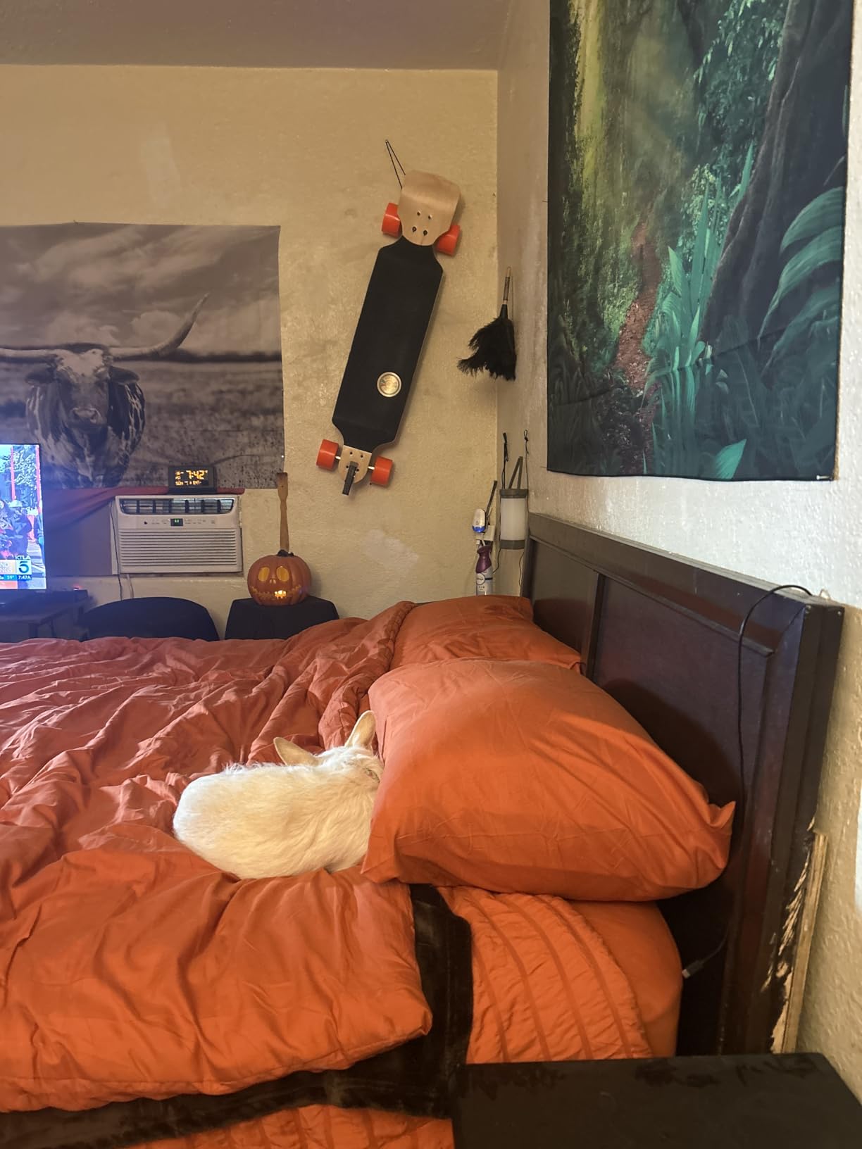 Ultrasonic Pest Repeller Control Plug in 2 Pack- Electronic Insect Defender - Roach Bed Bug Mouse Mosquito - Indoor Reject - for Cockroach Ants Mice Fly Rat Bedbug customer photo 1